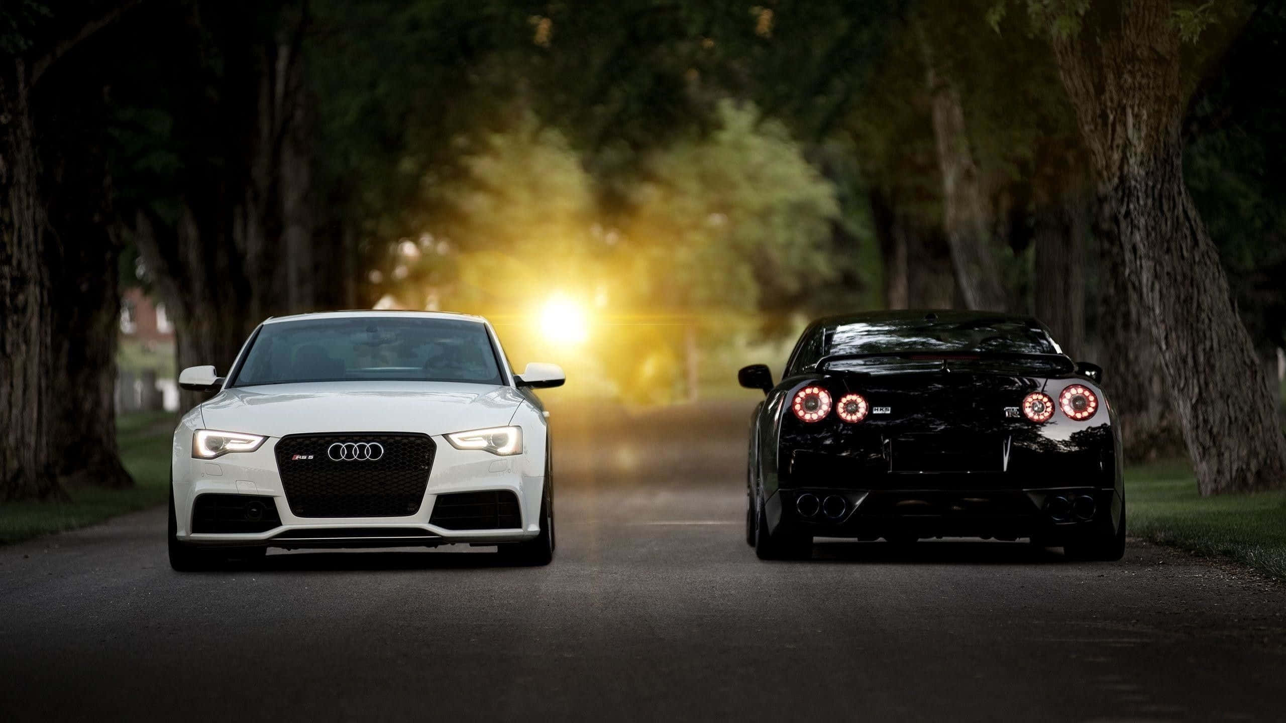 Audi S6, golden sunset, tree-lined road, 2K Desktop Wallpaper