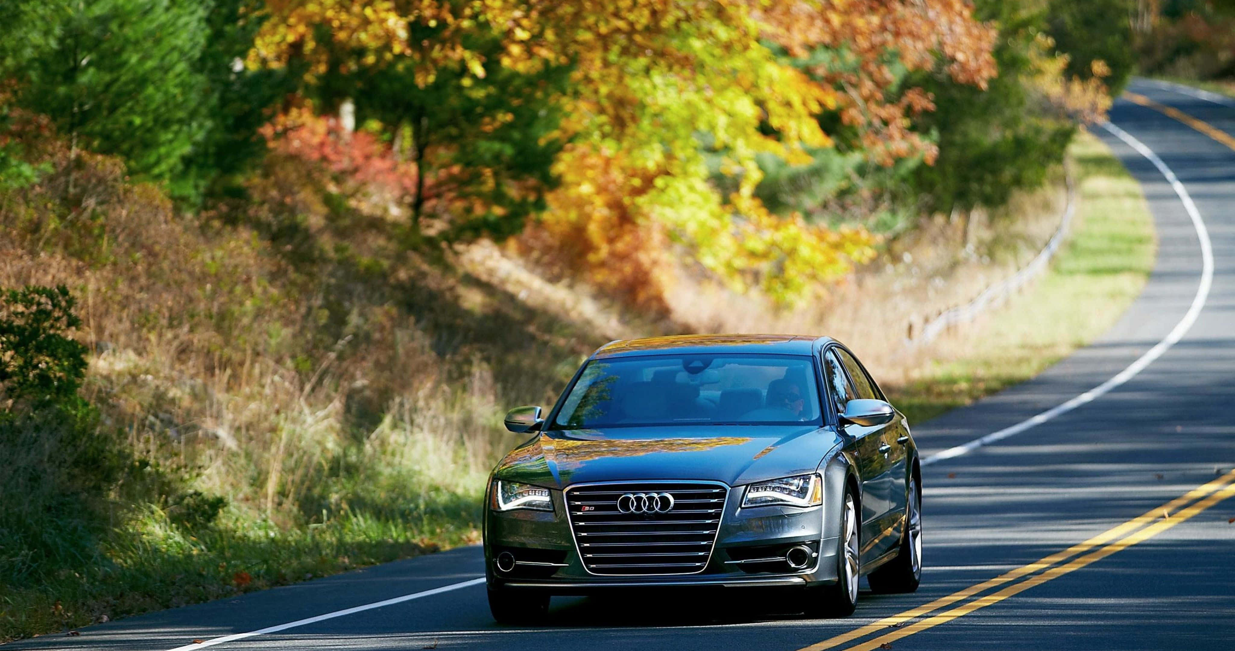 Audi S8, dark gray, autumn road, 4K Desktop Wallpaper