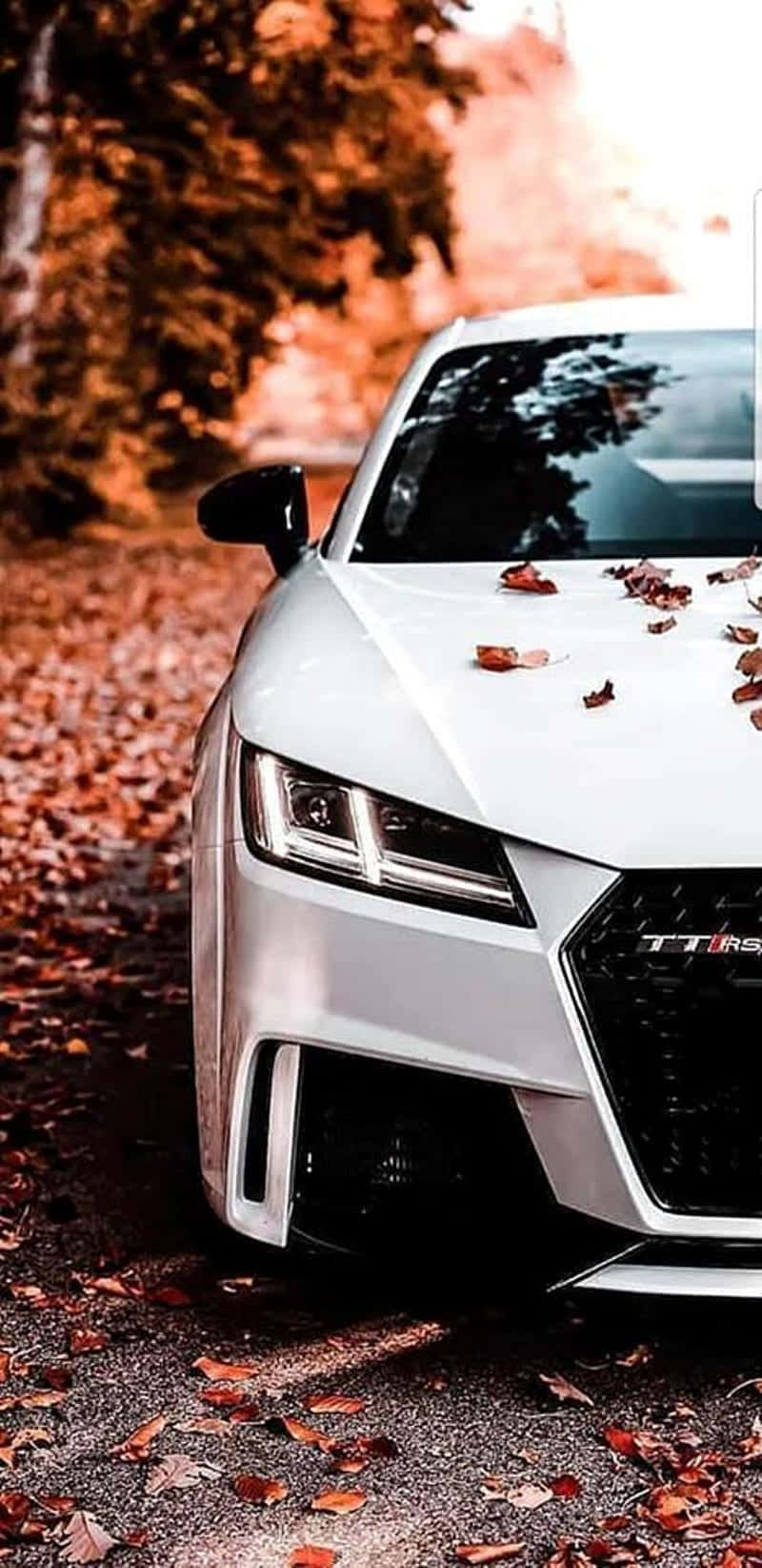 Audi TT RS, white, autumn road, HD Phone Wallpaper