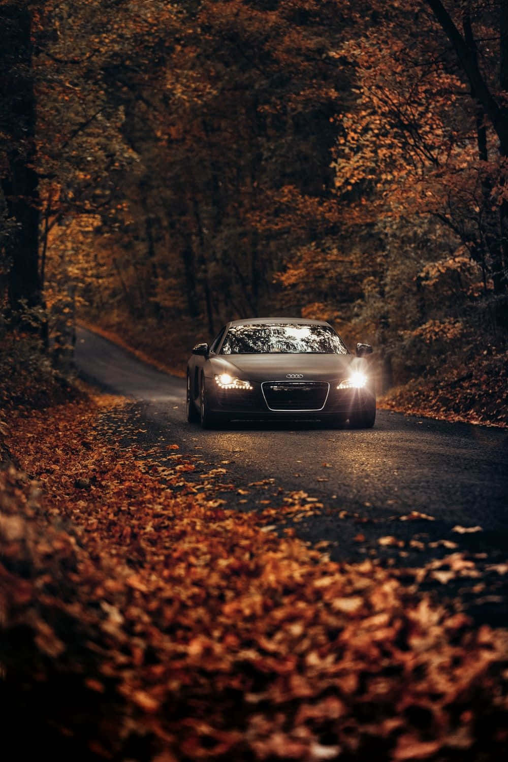 Audi TT, black, winding forest road, HD Phone Wallpaper