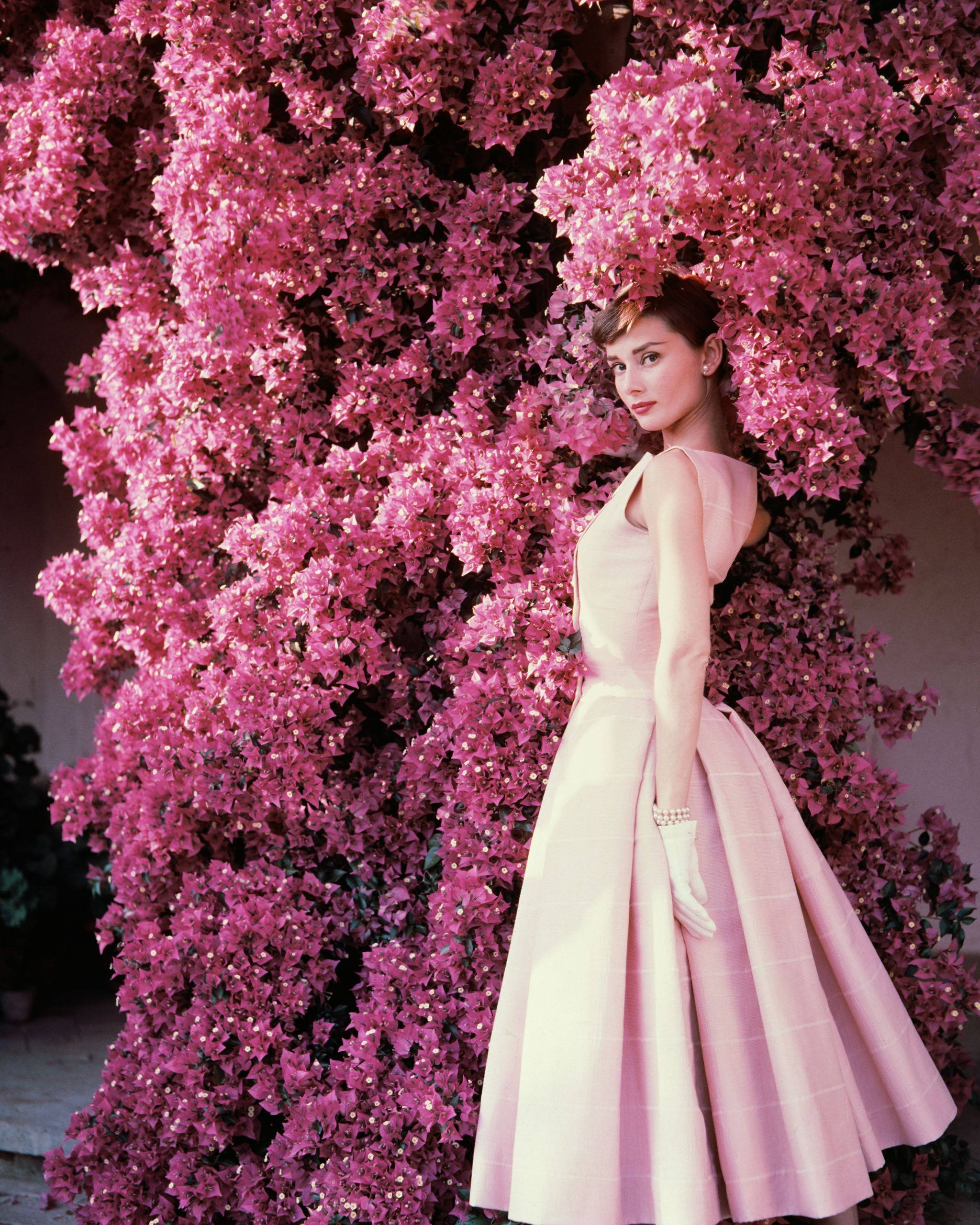 Audrey Hepburn, pale pink dress, pink bougainvillea flowers, 2K Phone Wallpaper