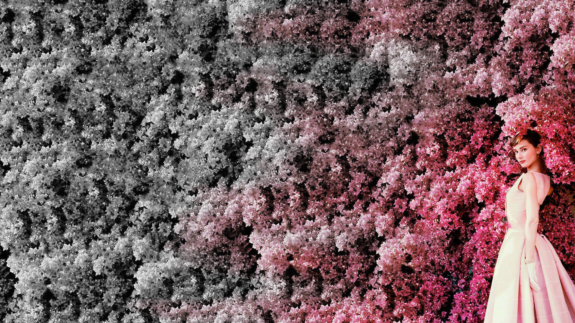 Audrey Hepburn, pale pink gown, vibrant cherry blossom wall, Full HD Desktop Wallpaper