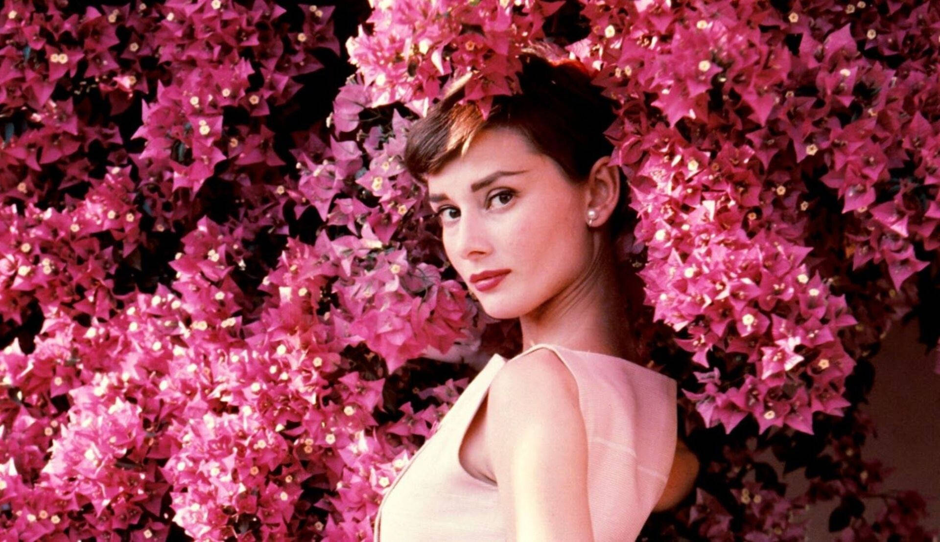 Audrey Hepburn, pink bougainvillea bush, classic glamorous portrait, Full HD Desktop Wallpaper