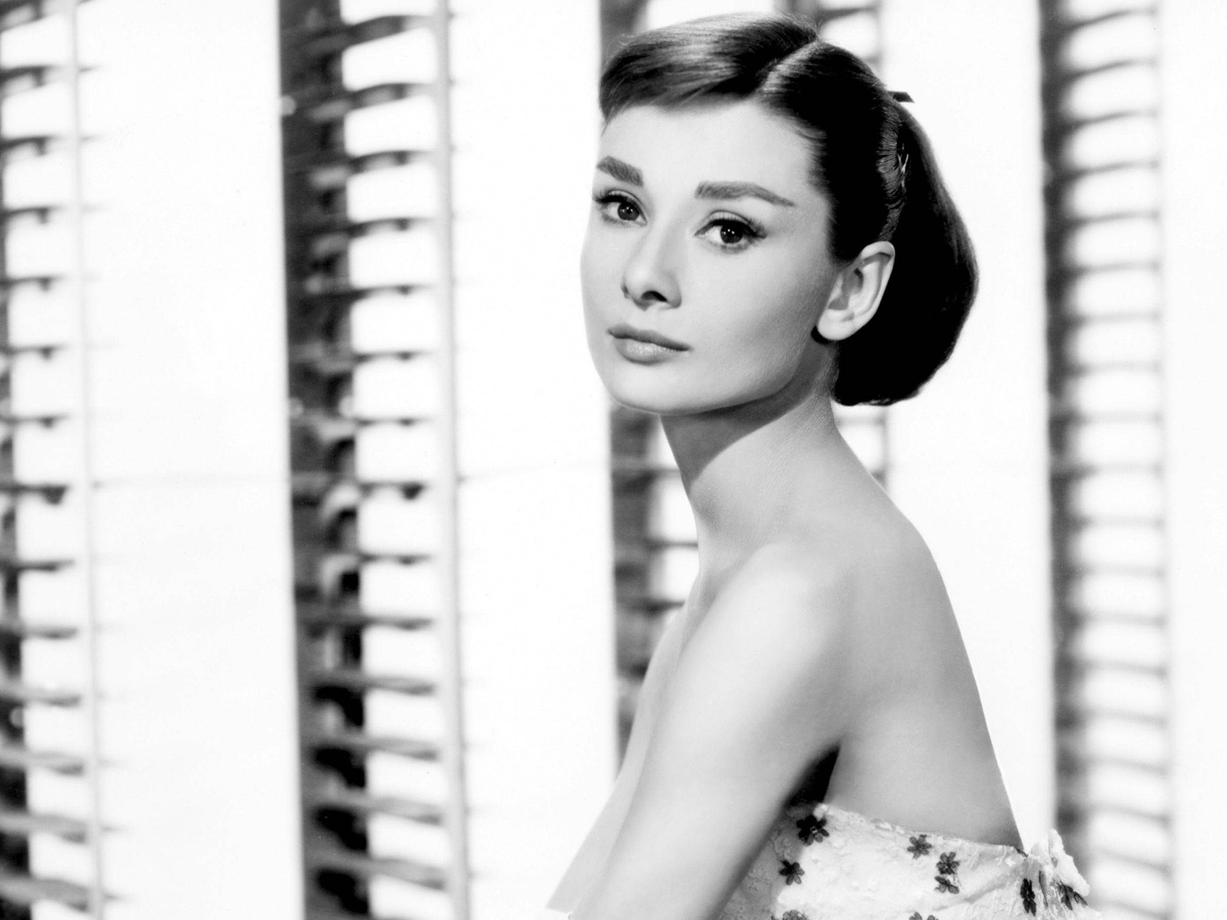 Audrey Hepburn, strapless dress, vertical blinds, Full HD Desktop Wallpaper