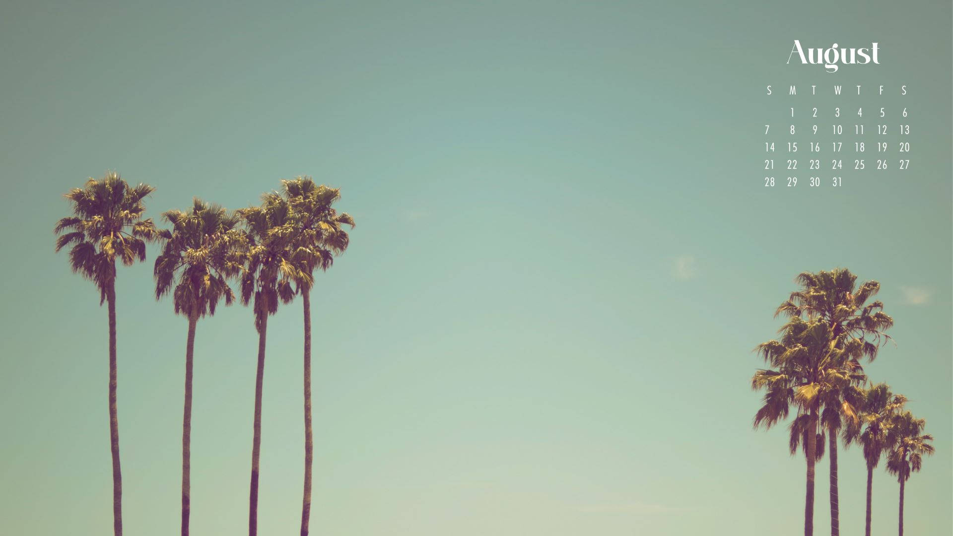 palm tree, teal sky, August calendar, Full HD Desktop Wallpaper