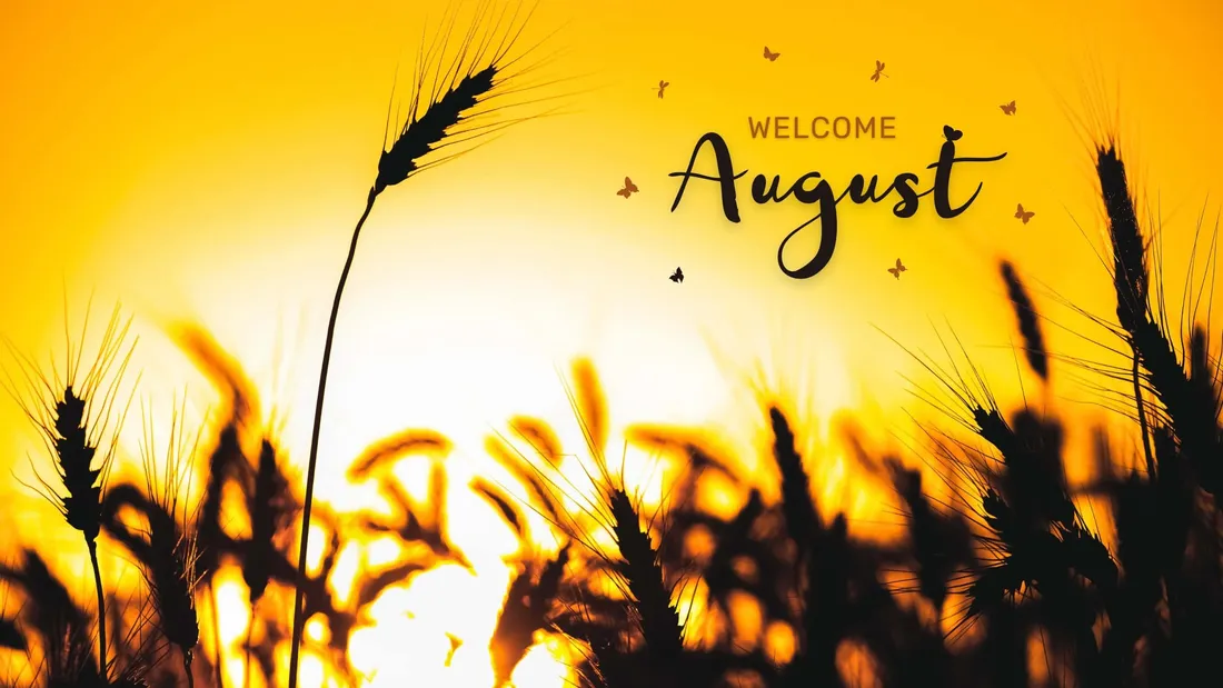 August Aesthetic
