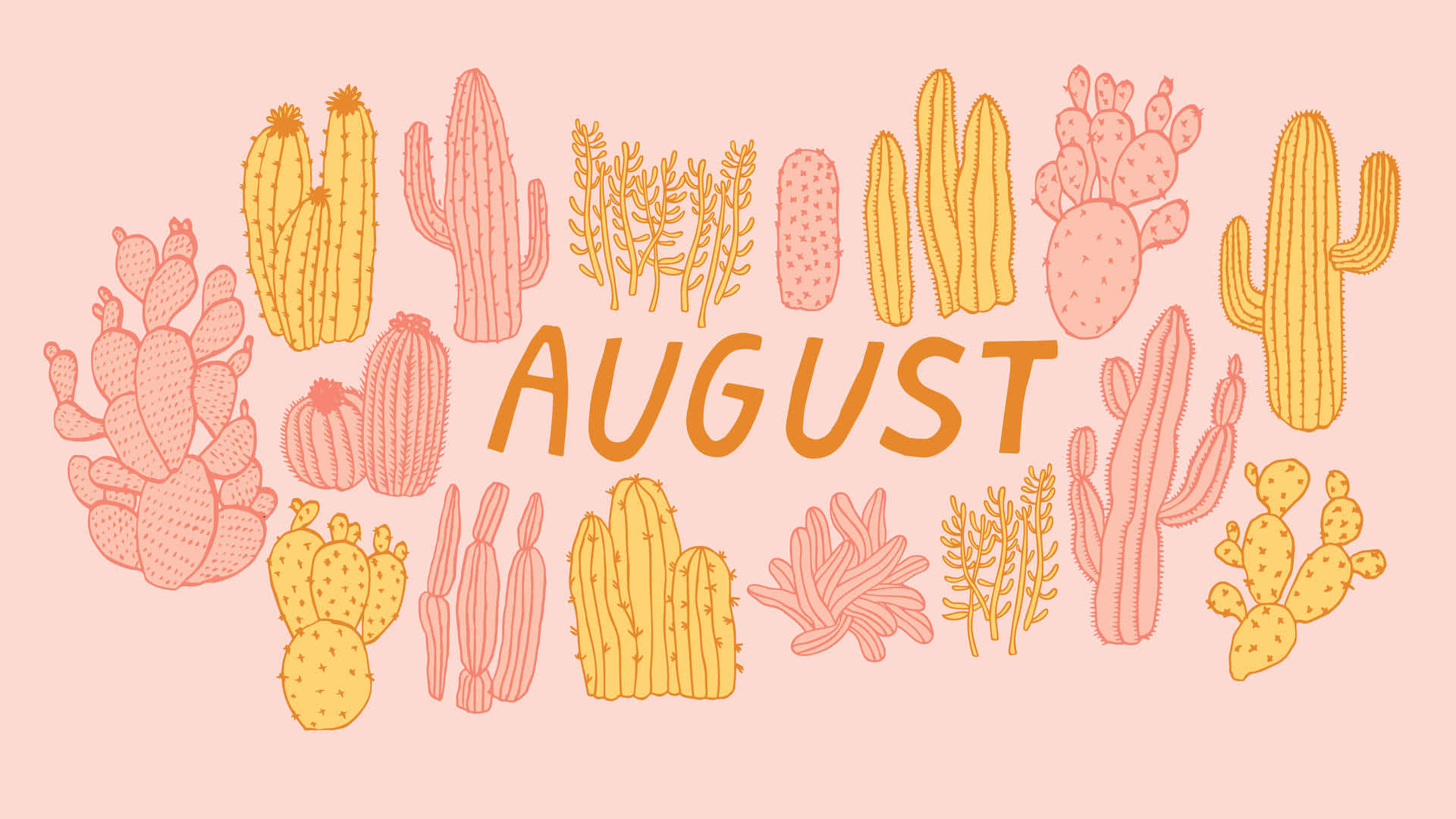 August, cacti, succulents, Full HD Desktop Wallpaper