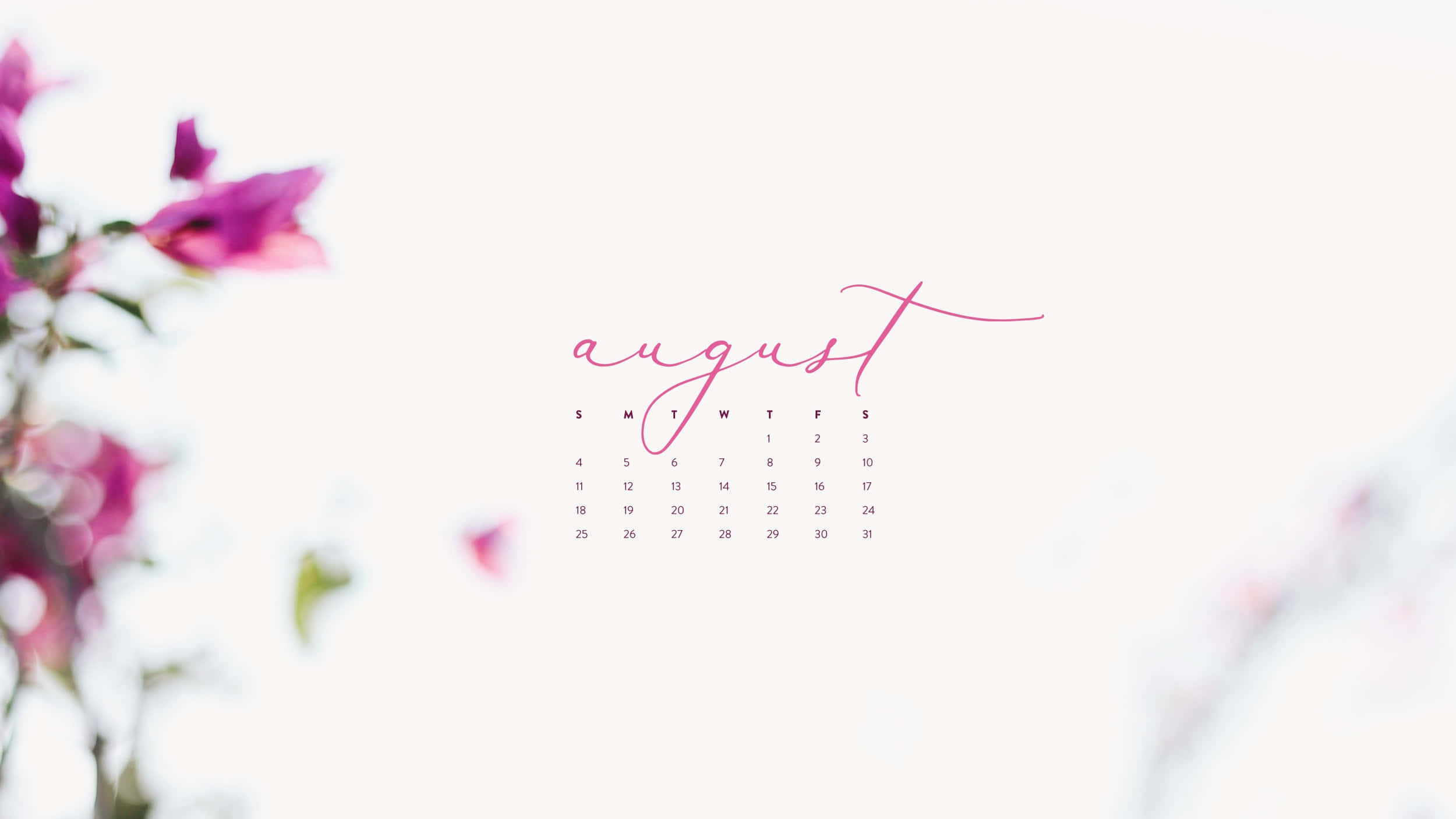 August calendar, pink script, magenta flowers, Full HD Desktop Wallpaper