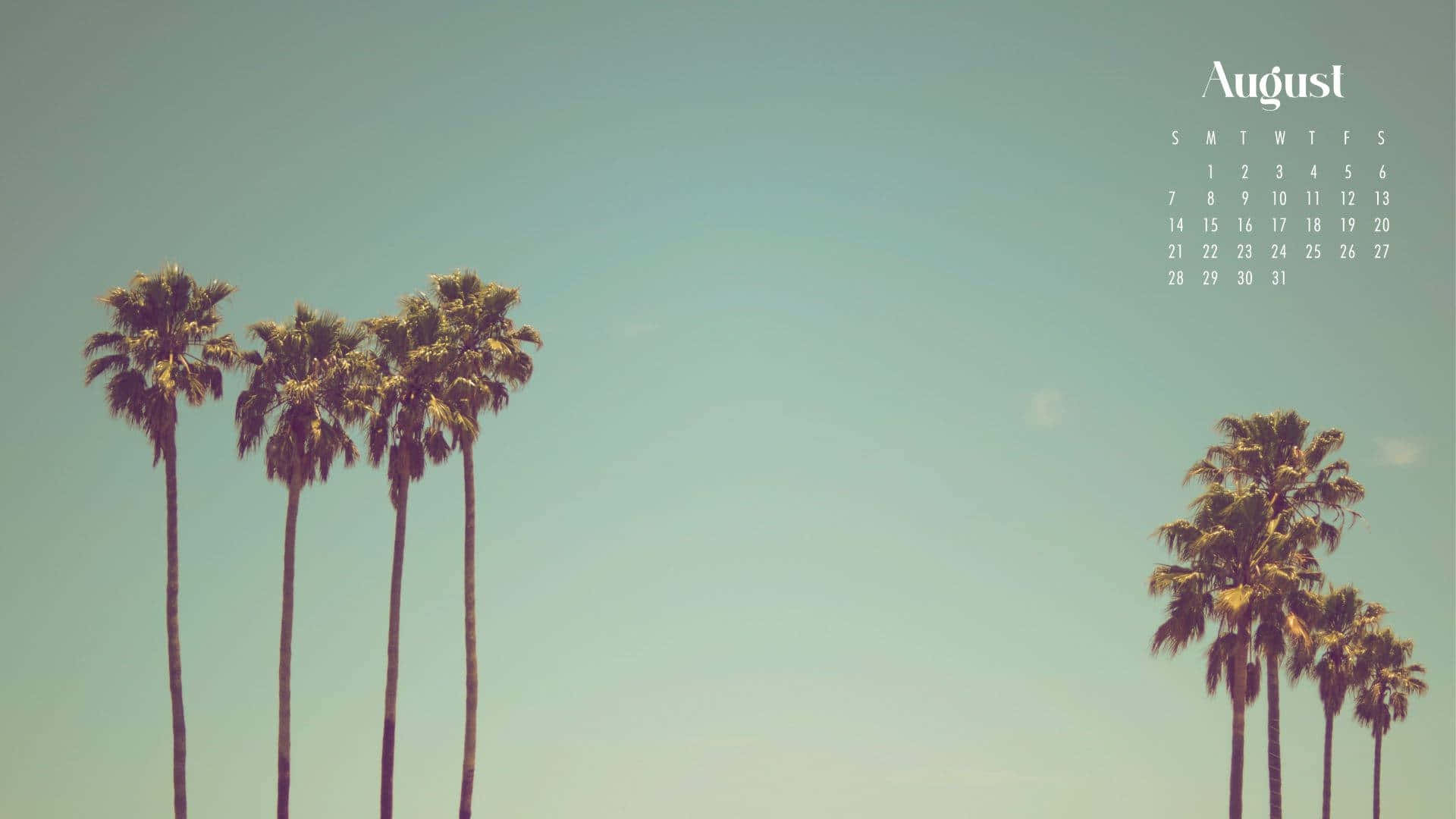 August, palm trees, teal sky, Full HD Desktop Wallpaper