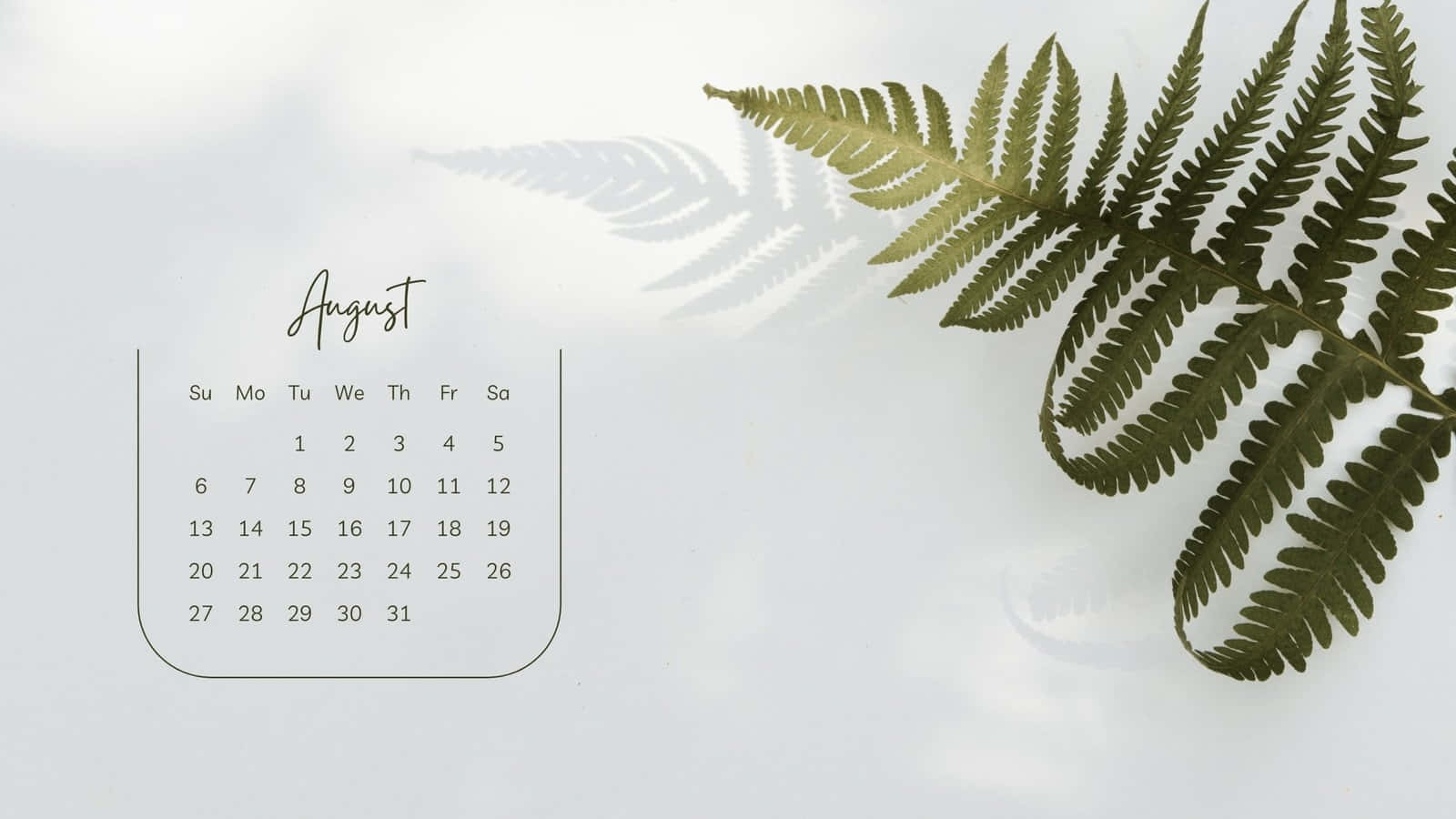 August Calendar, ferns, soft shadow, HD Desktop Wallpaper