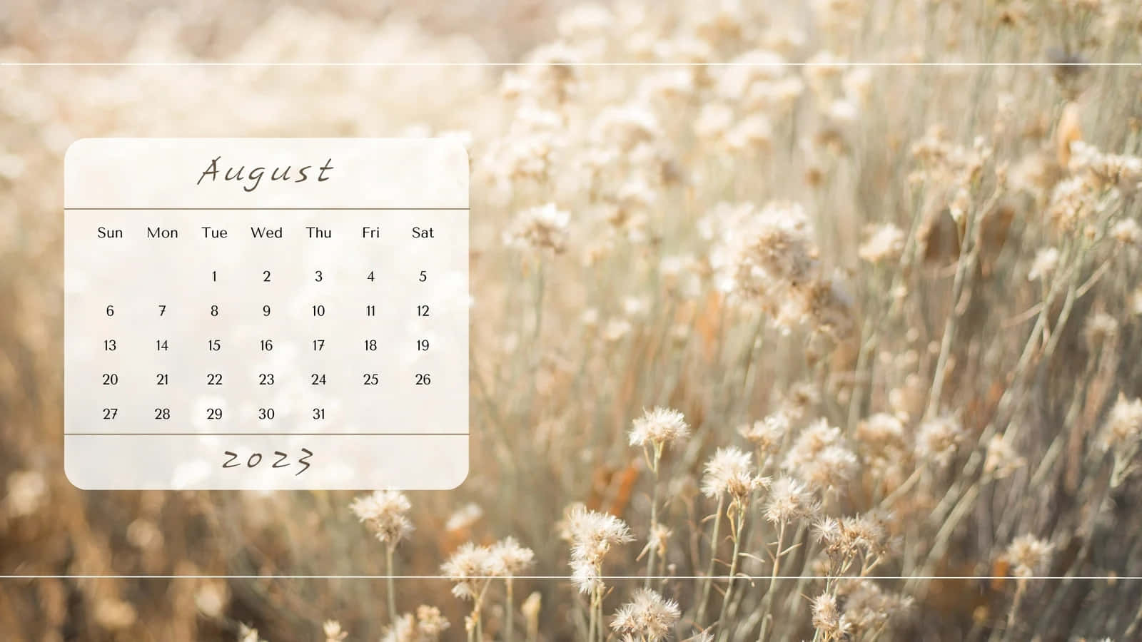August 2023 calendar, beige, dried wildflowers, HD Desktop Wallpaper