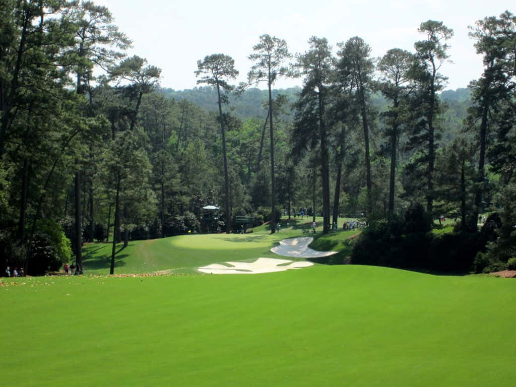 Augusta National Golf Course, 18th hole, pine trees, SD Desktop Wallpaper