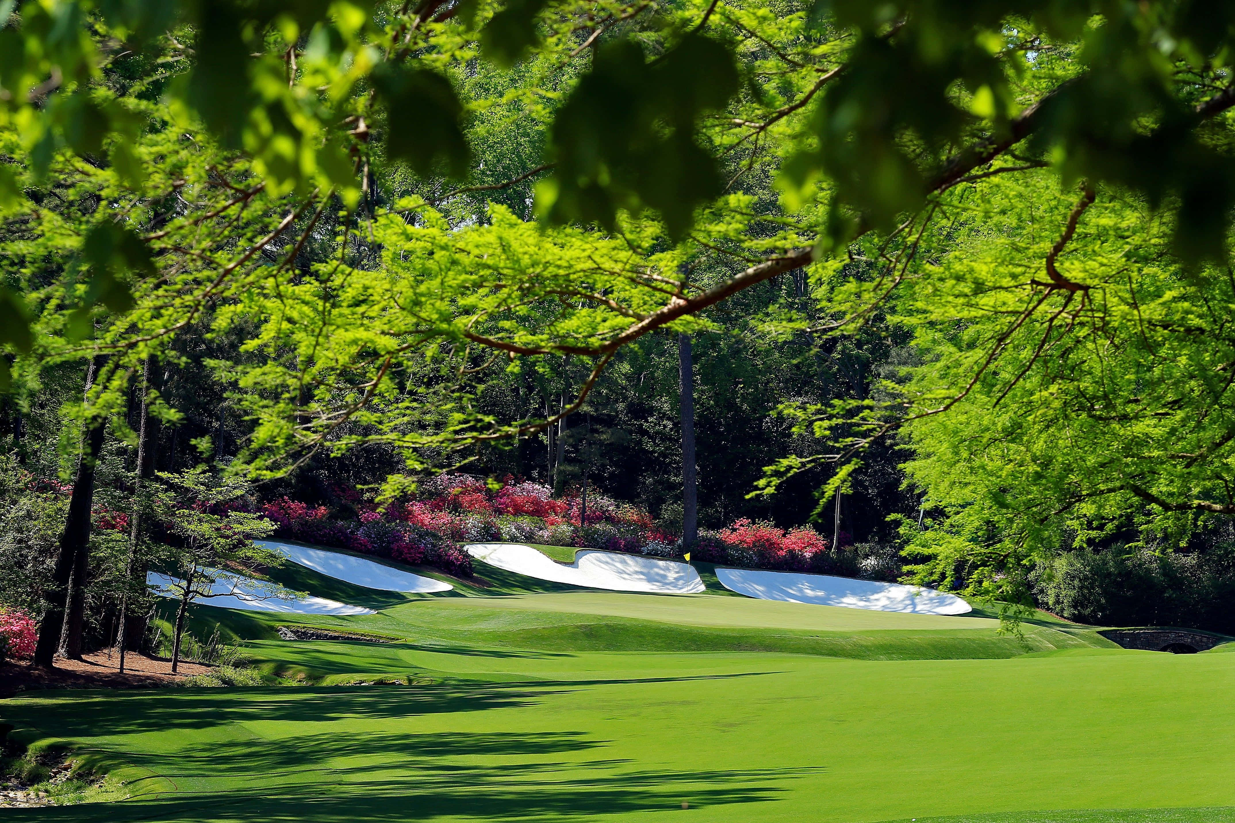 Augusta National Golf Course, golf green, vibrant green leaves, 4K Desktop Wallpaper