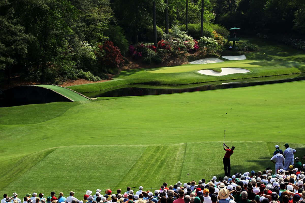 Augusta National Golf Course, lush green fairway, dense trees, SD Desktop Wallpaper
