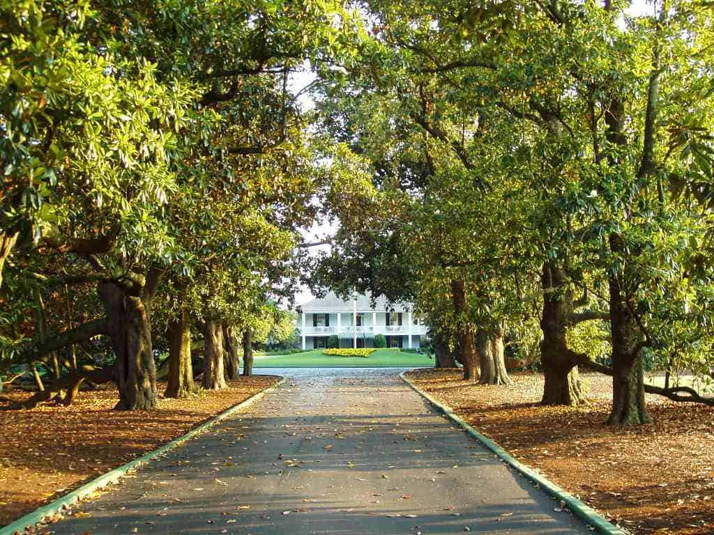 Augusta National Golf Course, sunlit tree-lined driveway, white house, SD Desktop Wallpaper