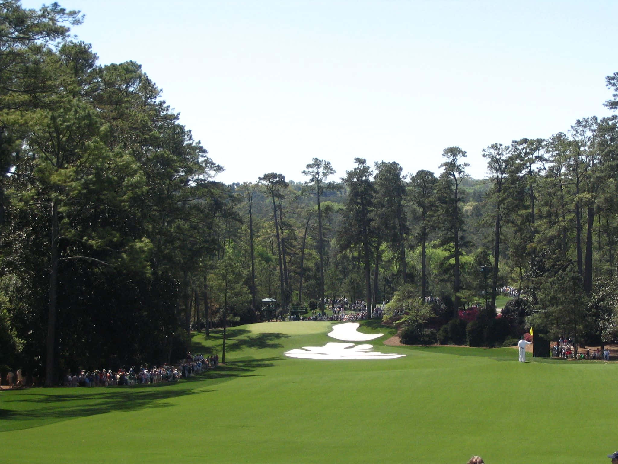 Augusta National Golf Course, vibrant green fairway, towering pine trees, Full HD Desktop Wallpaper