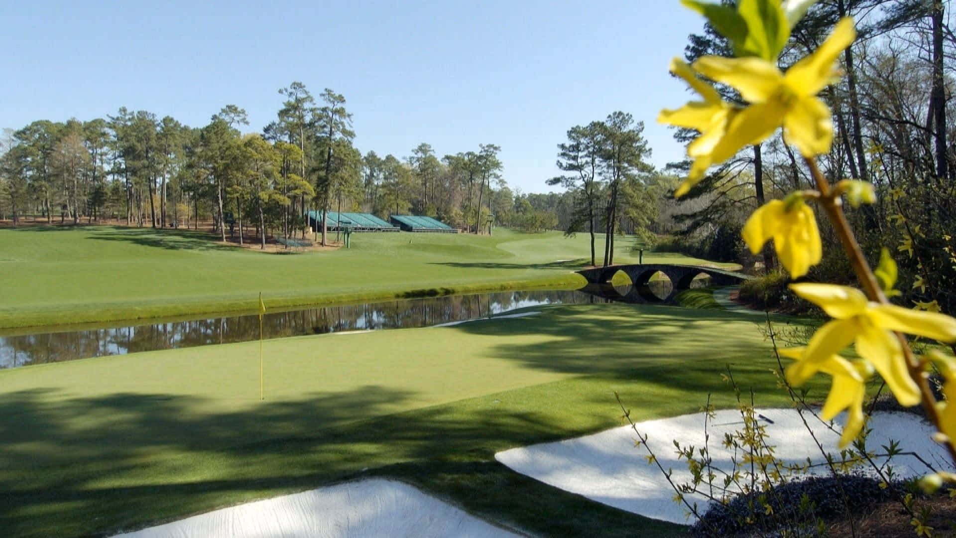 Augusta National Golf Course, sunrise, vibrant green fairways, Full HD Desktop Wallpaper