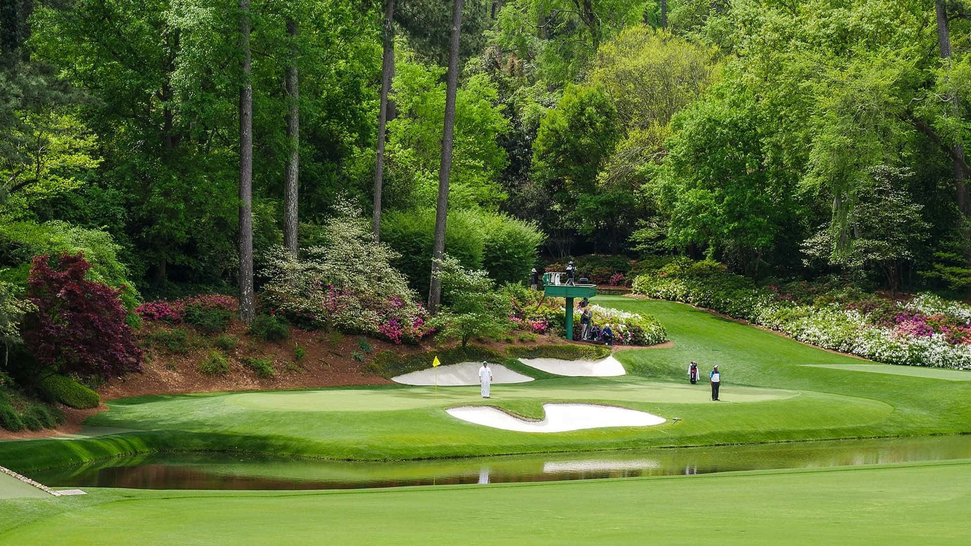 Augusta National Golf Course, lush green fairway, vibrant flowers, Full HD Desktop Wallpaper