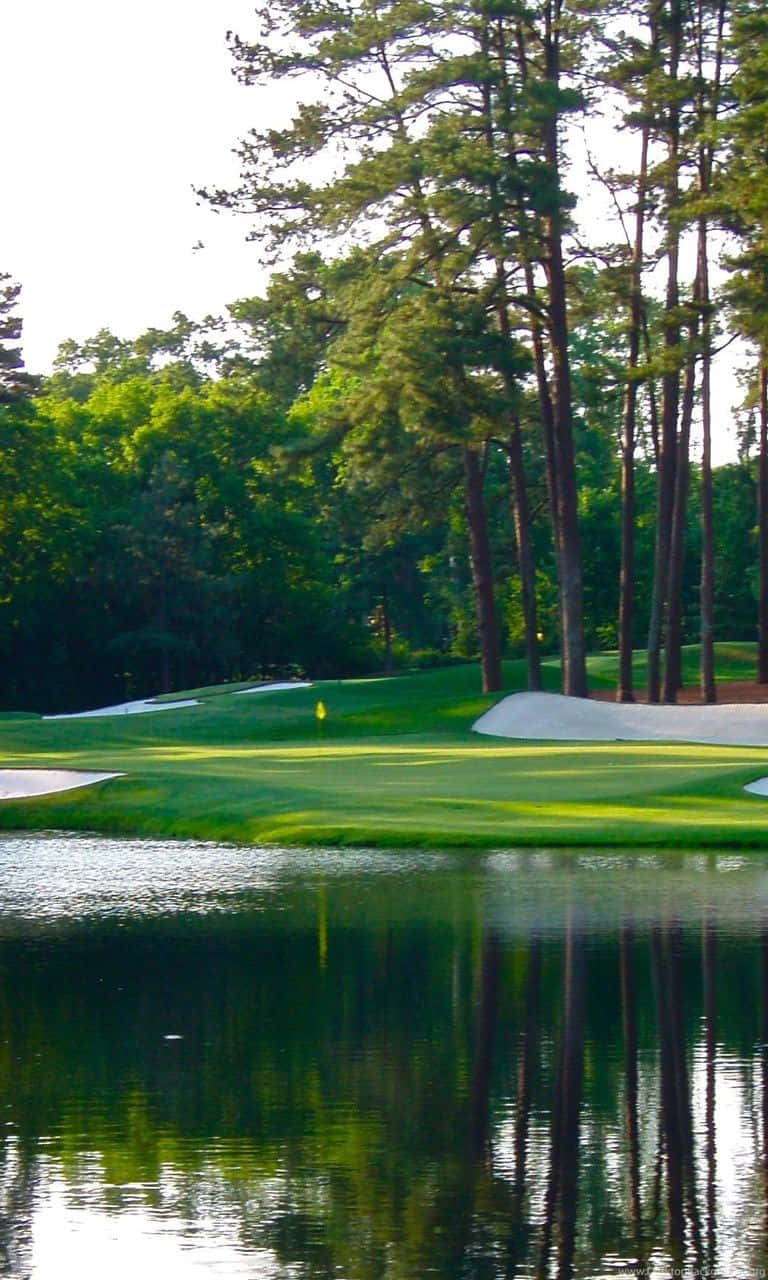 Augusta National Golf Course, golf green, pine trees, HD Phone Wallpaper