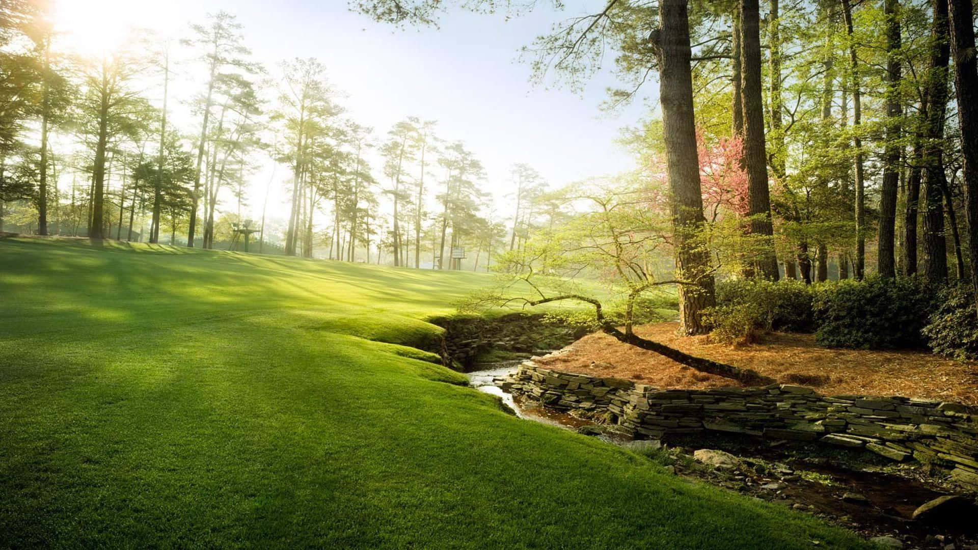 Augusta National Golf Course, sunlight, tall trees, Full HD Desktop Wallpaper