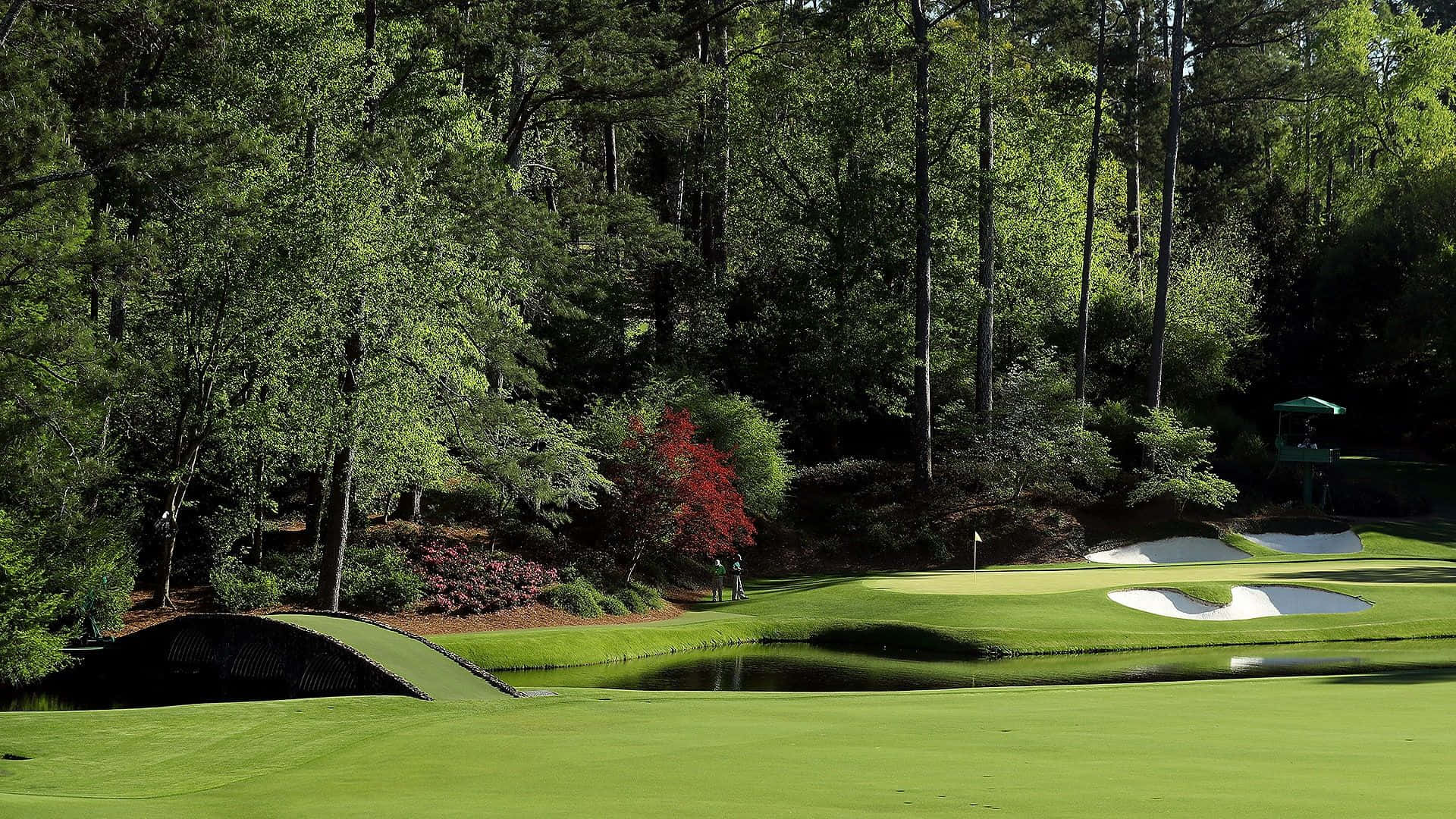 Augusta National Golf Course, vibrant green fairway, dense trees, Full HD Desktop Wallpaper