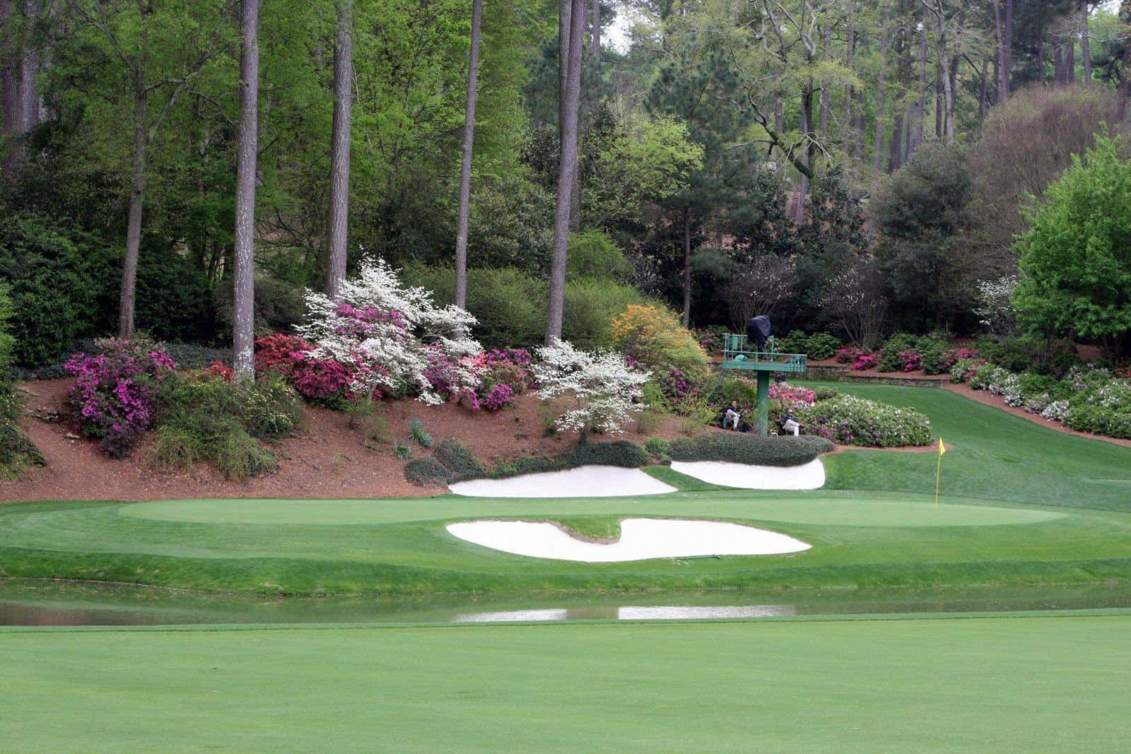 Augusta National, golf green, vibrant pink and white flowering bushes, HD Desktop Wallpaper