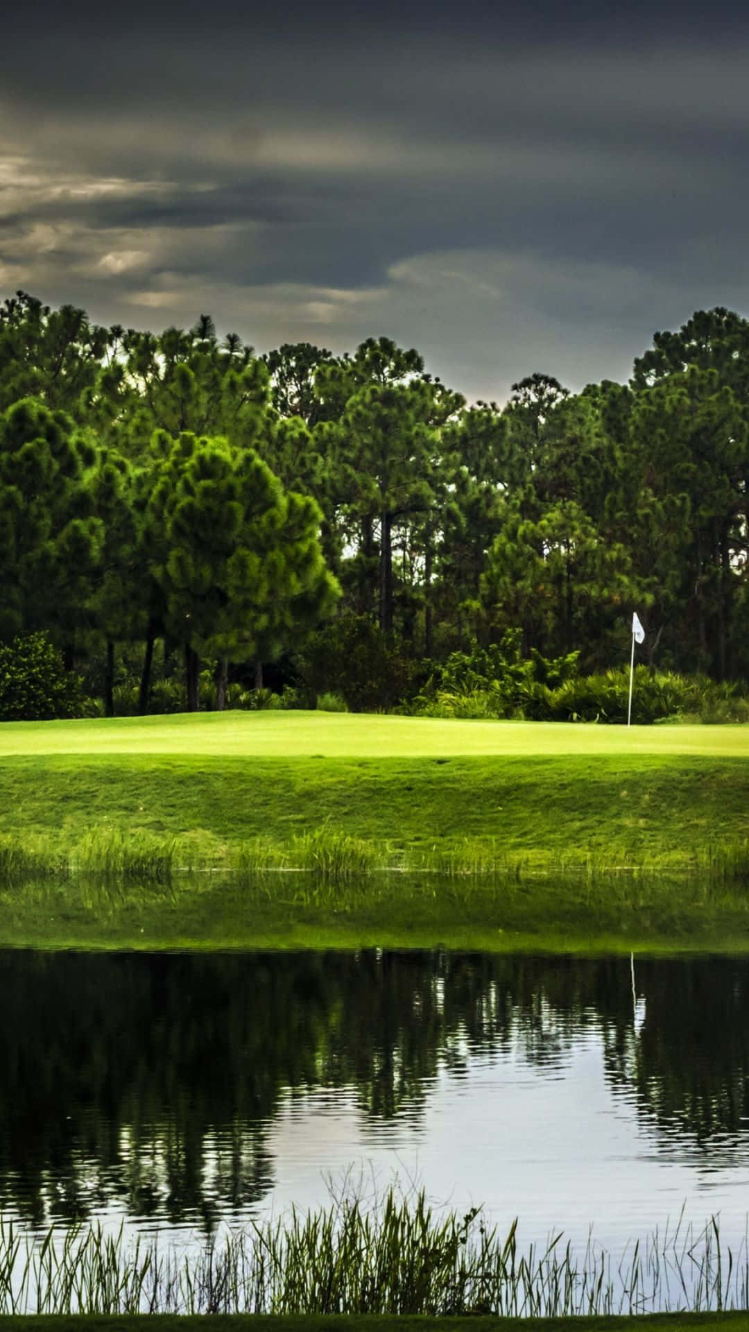 Augusta National, golf course green, flagstick, Full HD Phone Wallpaper