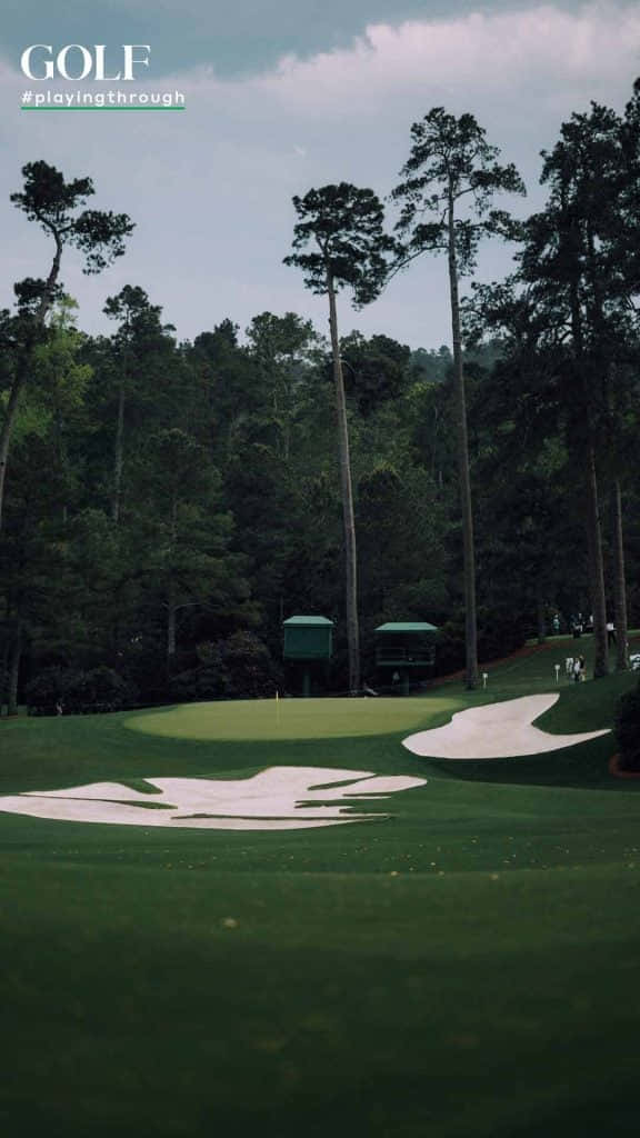 Augusta National, golf course green, towering pine trees, SD Phone Wallpaper