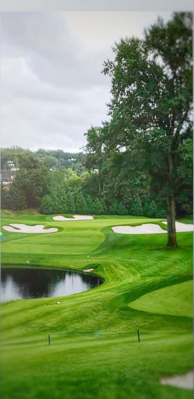 Augusta National, golf course, sand traps, HD Phone Wallpaper