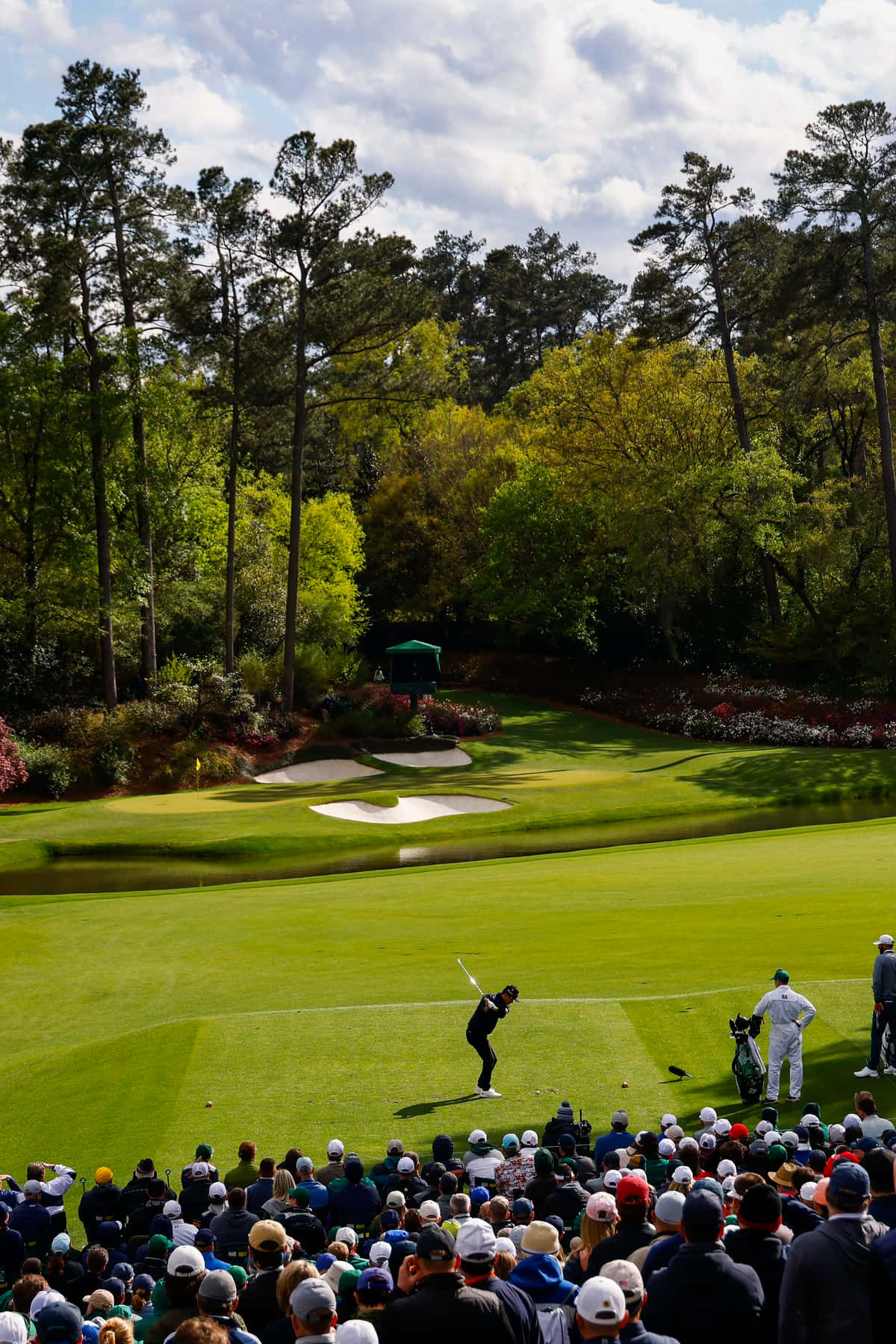 Augusta National, golfer, lush green fairway, HD Phone Wallpaper