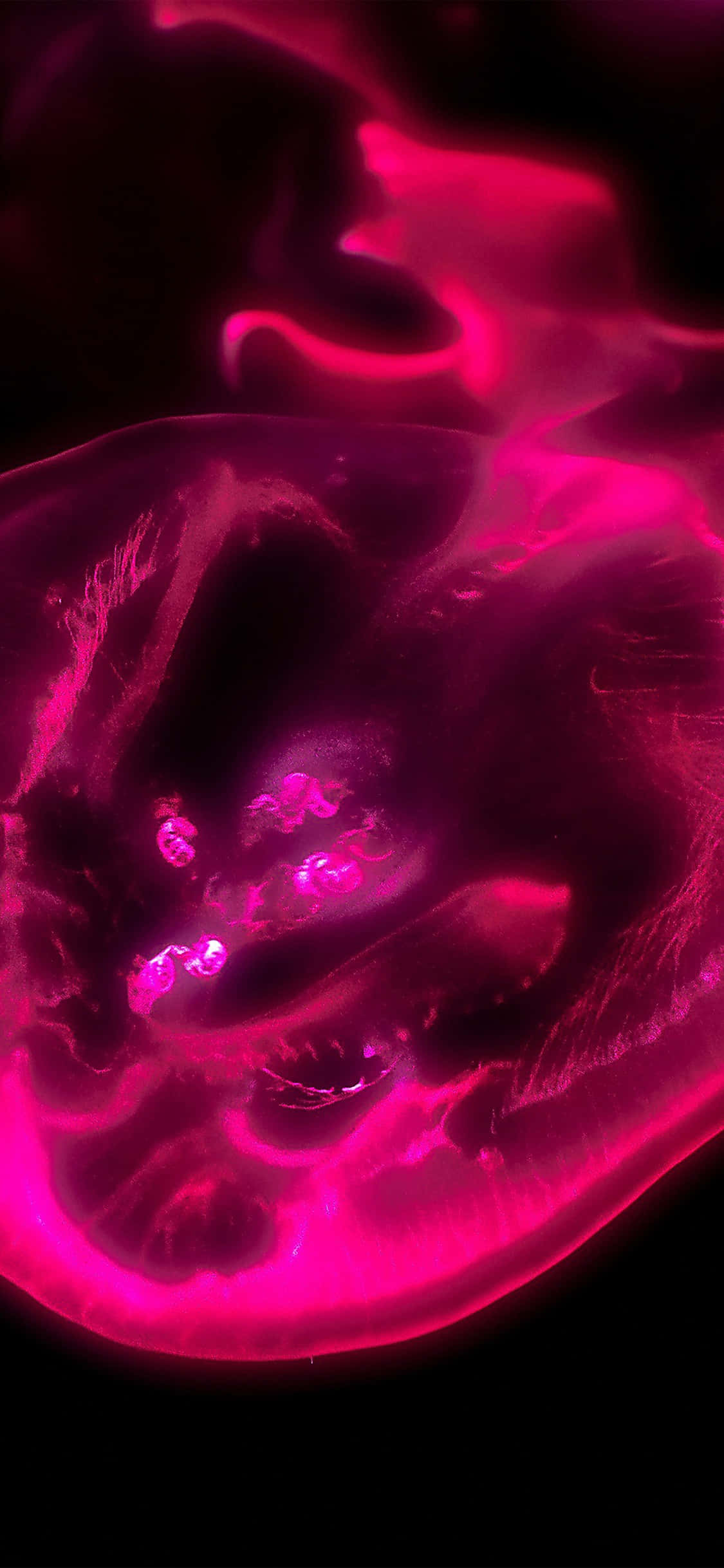 black and pink iPhone, glowing pink jellyfish, bioluminescent light, Full HD Phone Wallpaper