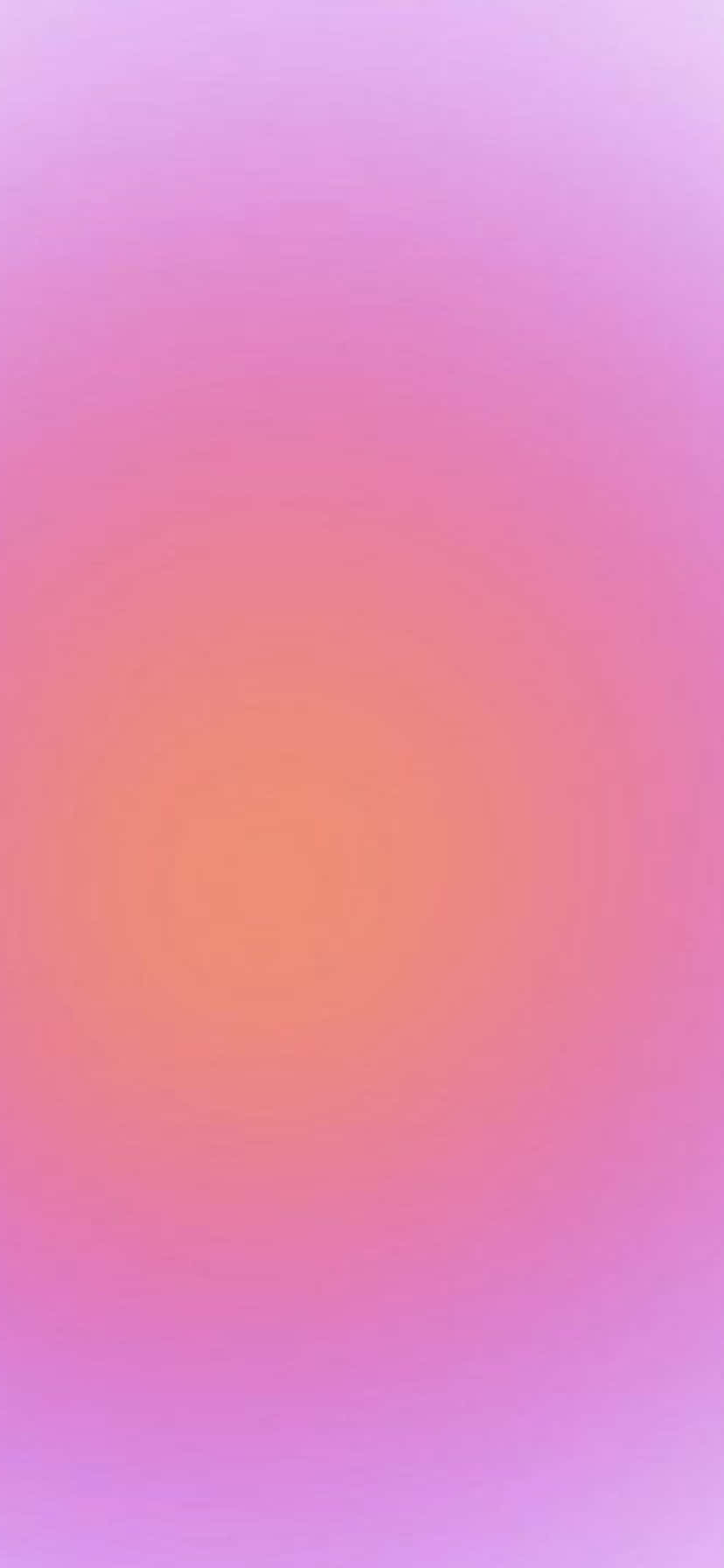 pink, purple, lavender pink, HD Phone Wallpaper