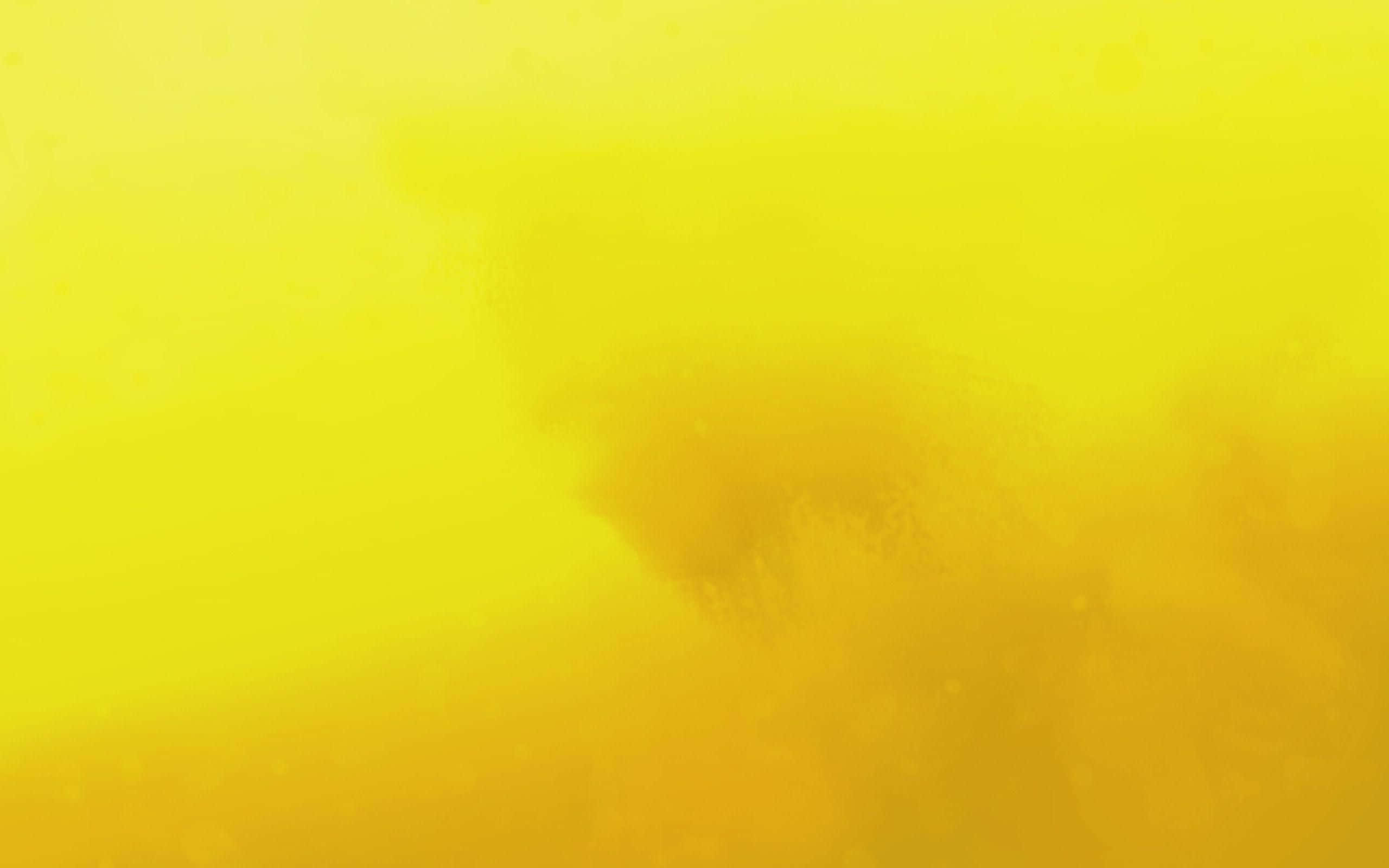 pastel yellow laptop, 2560 x 1600, Citrus-Inspired Laptop, 2K Desktop Wallpaper