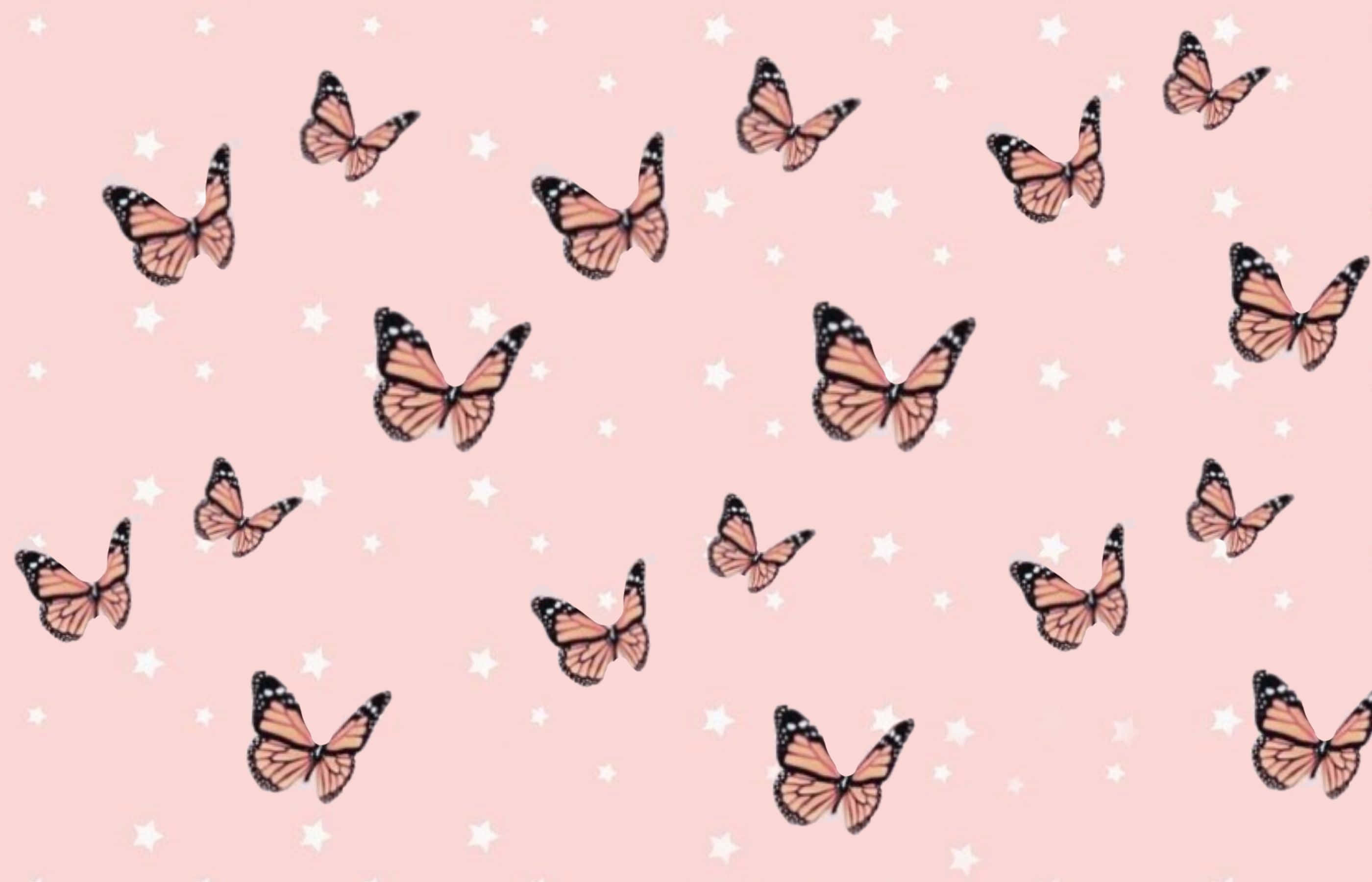 Monarch butterflies, soft pink backdrop, white stars, 2K Desktop Wallpaper