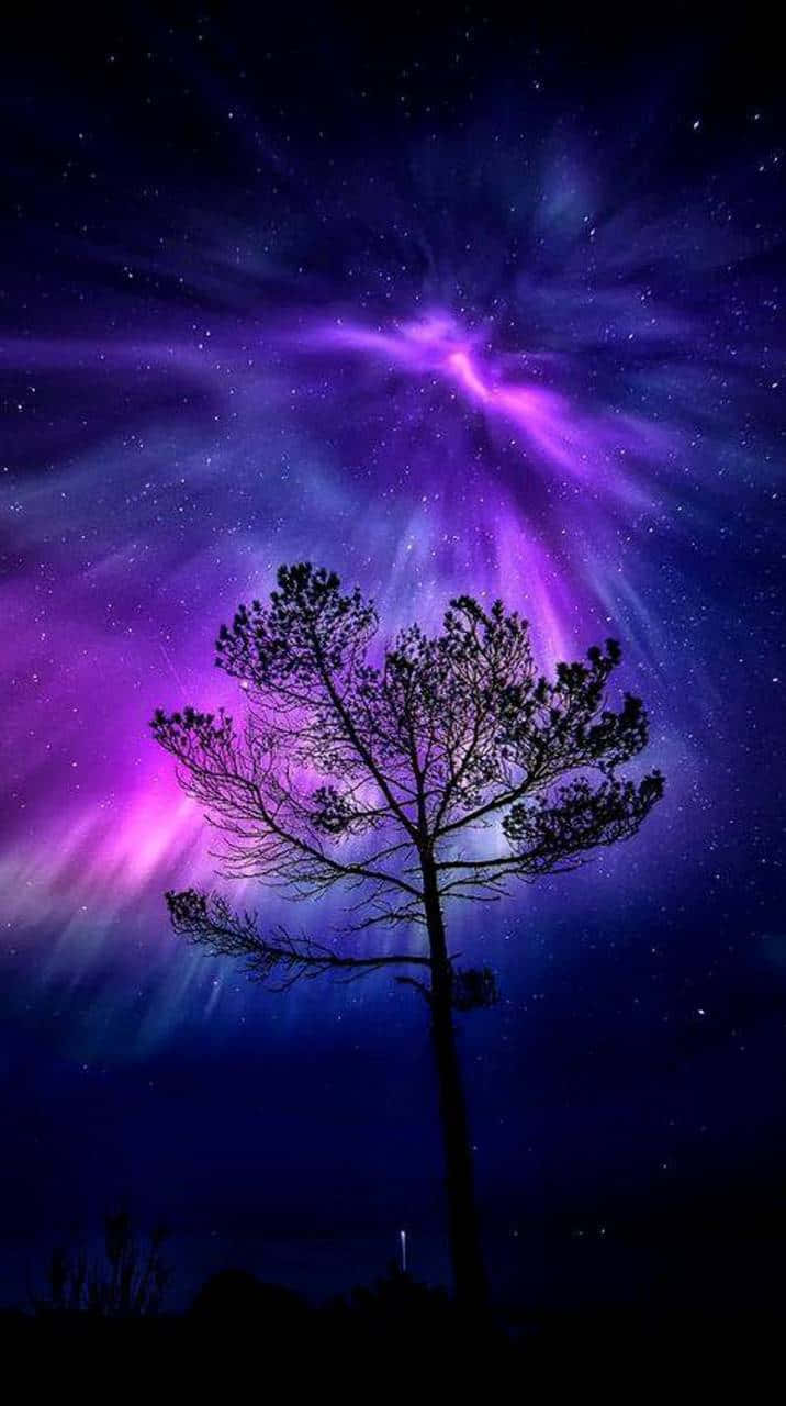 Aurora borealis, vibrant purple and blue aurora, night sky, HD Phone Wallpaper