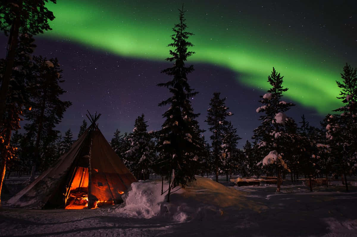 Aurora Borealis, northern lights, snowy woods, SD Desktop Wallpaper