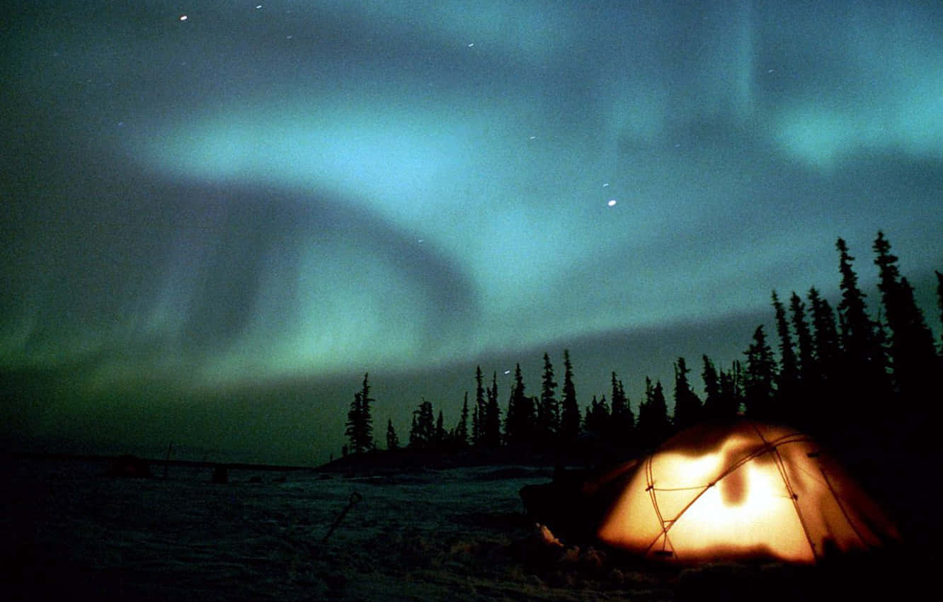 Aurora borealis tent, northern lights, snowy wilderness, HD Desktop Wallpaper