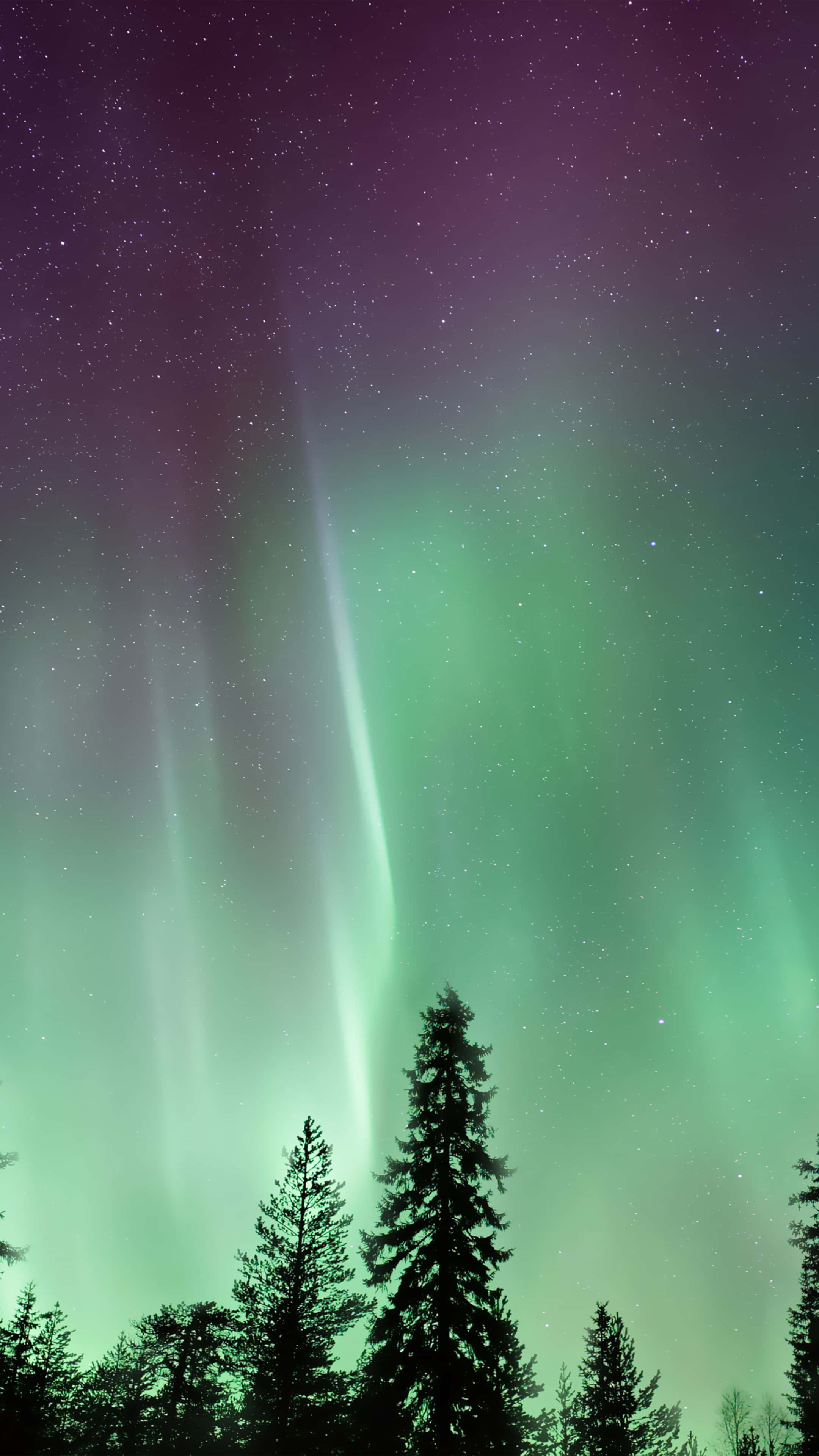 Aurora borealis, green and purple, starry night sky, 4K Phone Wallpaper