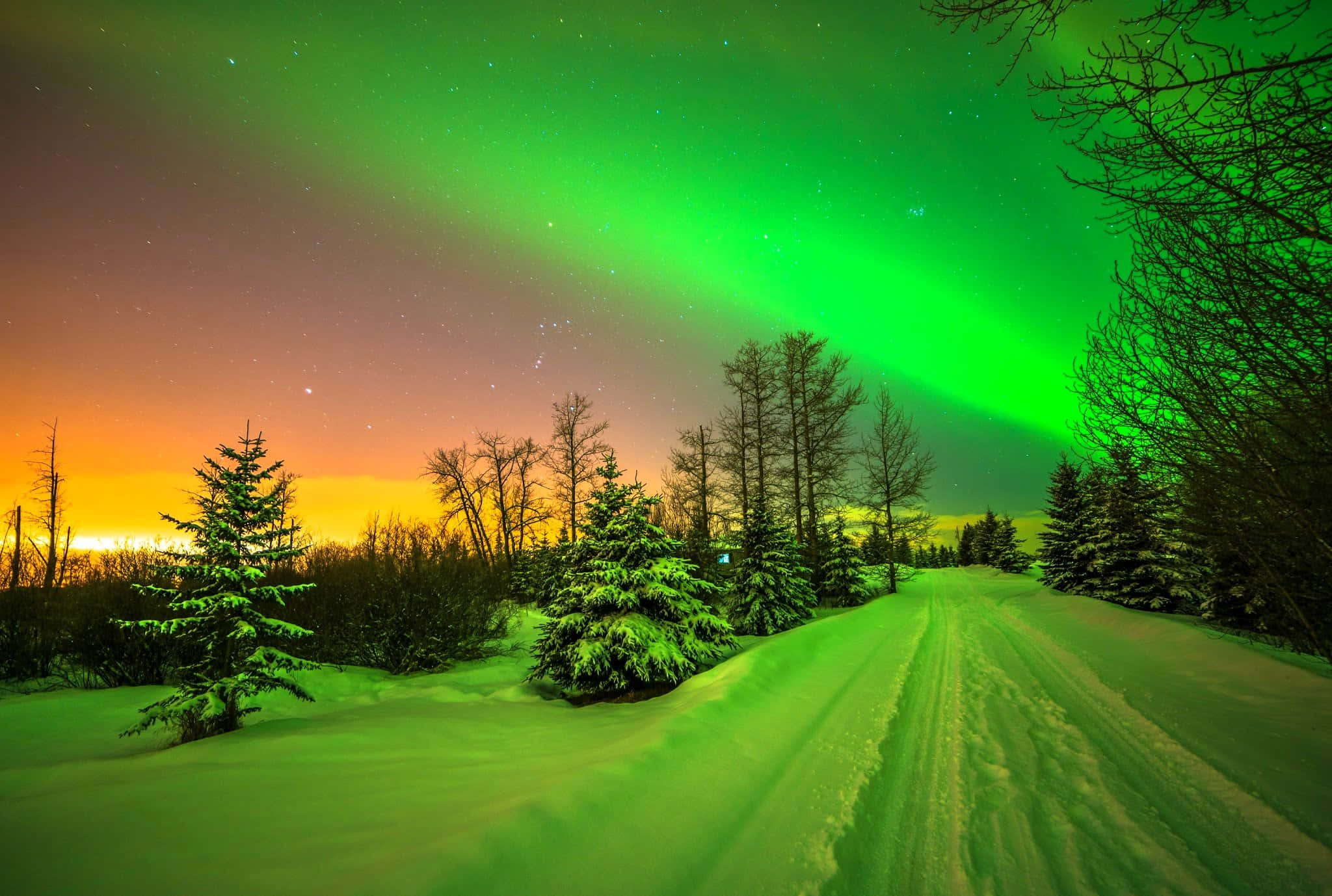 aurora borealis, snow-covered road, forest, Full HD Desktop Wallpaper
