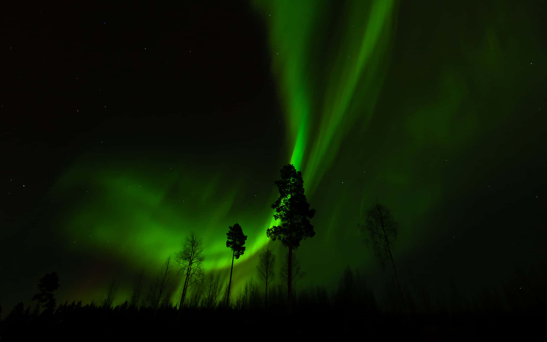Aurora borealis, vibrant green aurora borealis, starry night sky, Full HD Desktop Wallpaper