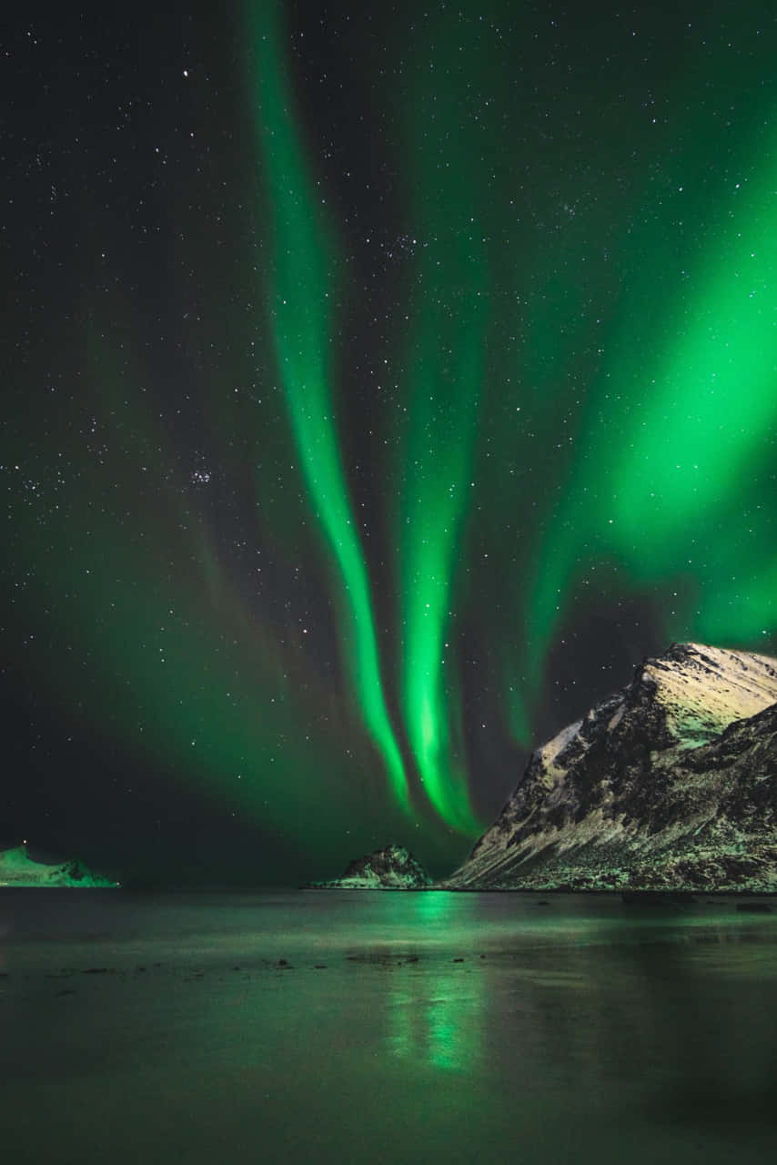 aurora borealis, green aurora borealis, starry night sky, HD Phone Wallpaper