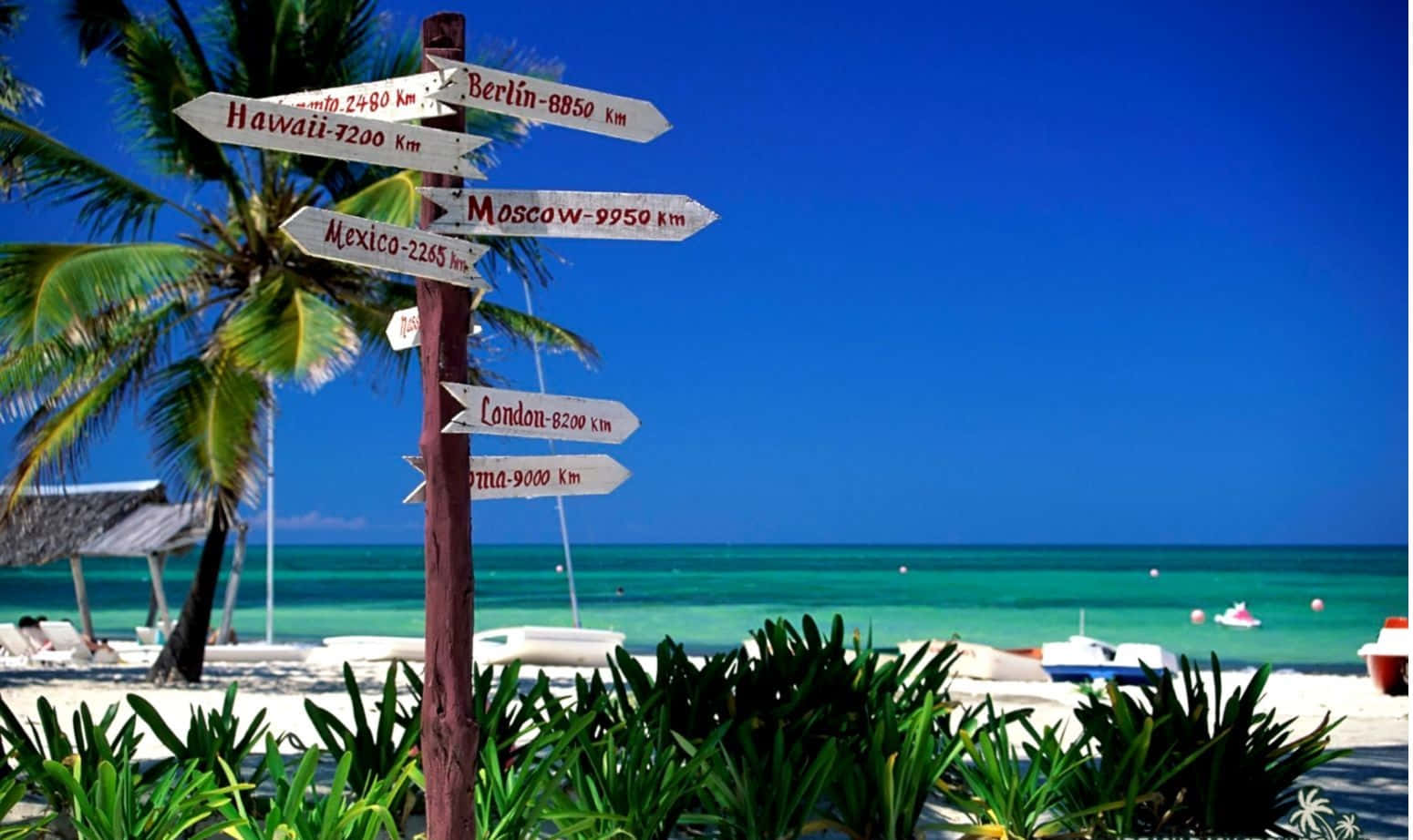 Australia Beach, tropical beach, clear blue sky, HD Desktop Wallpaper