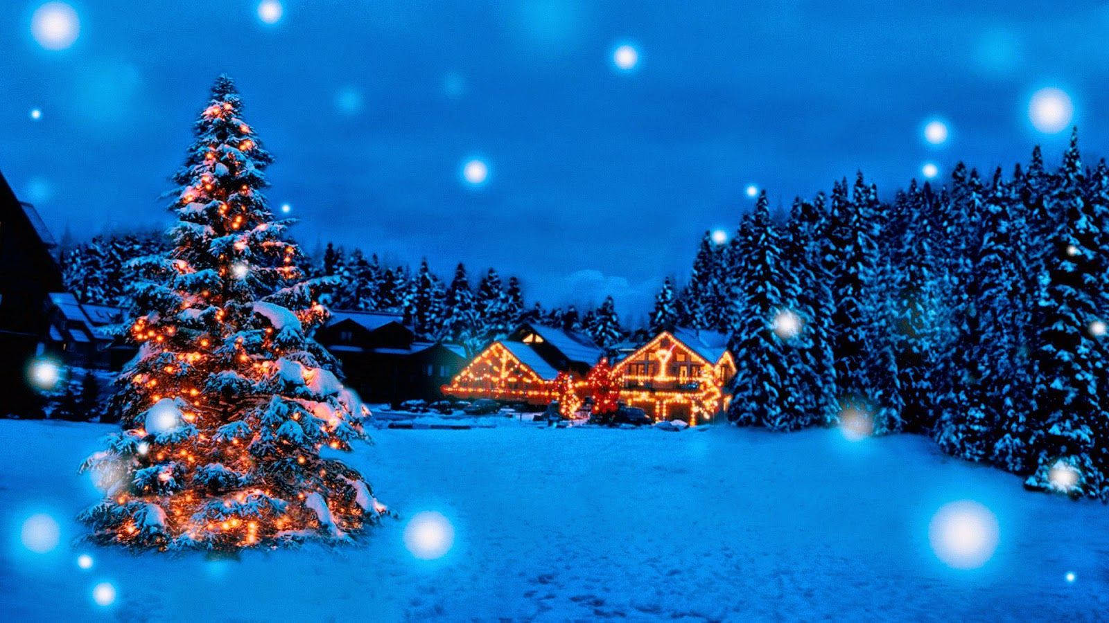 Australian Christmas, snow-covered Christmas tree, cozy cabin, HD Desktop Wallpaper