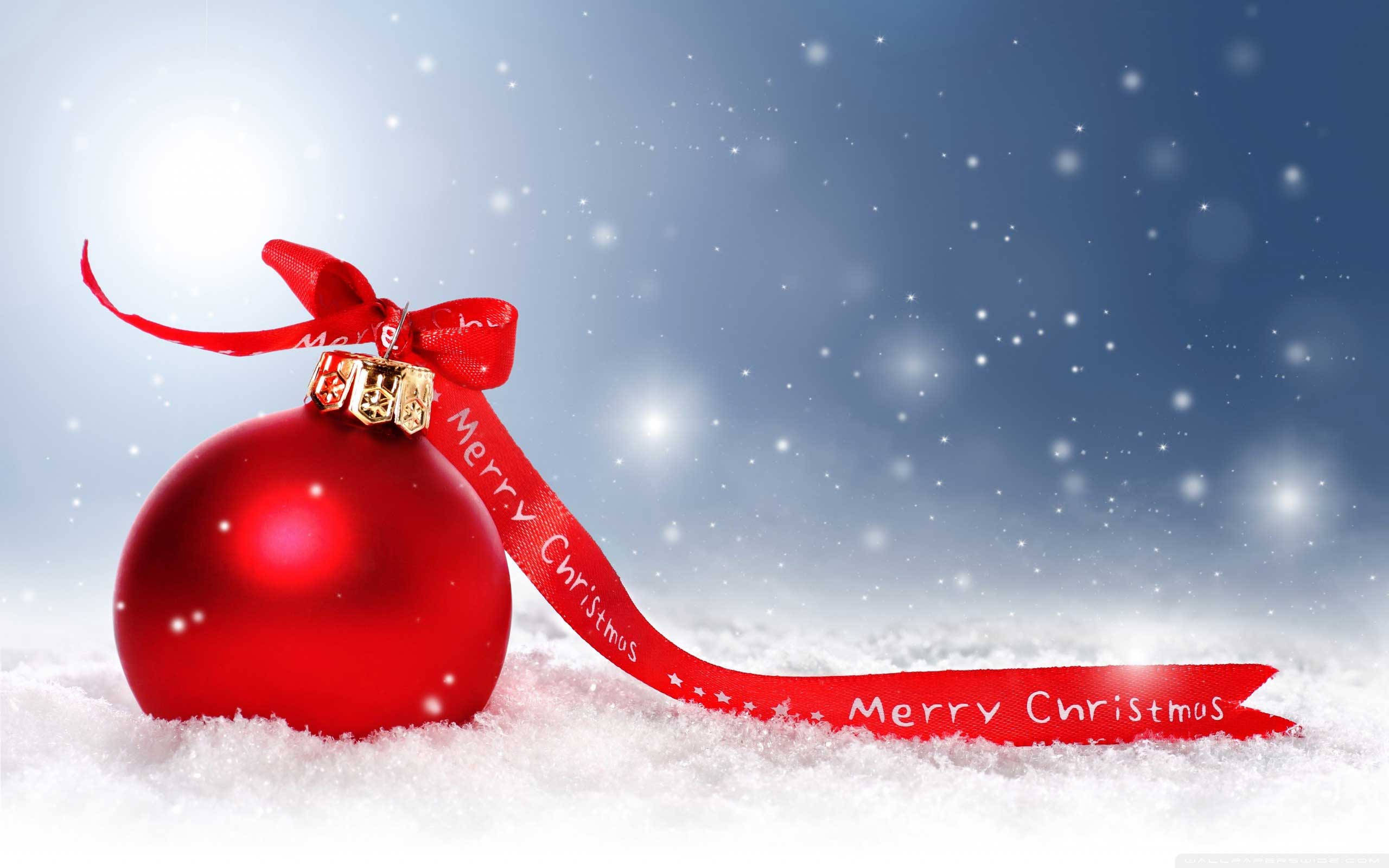 Australian Christmas, red ball, glossy red Christmas ornament, 2K Desktop Wallpaper
