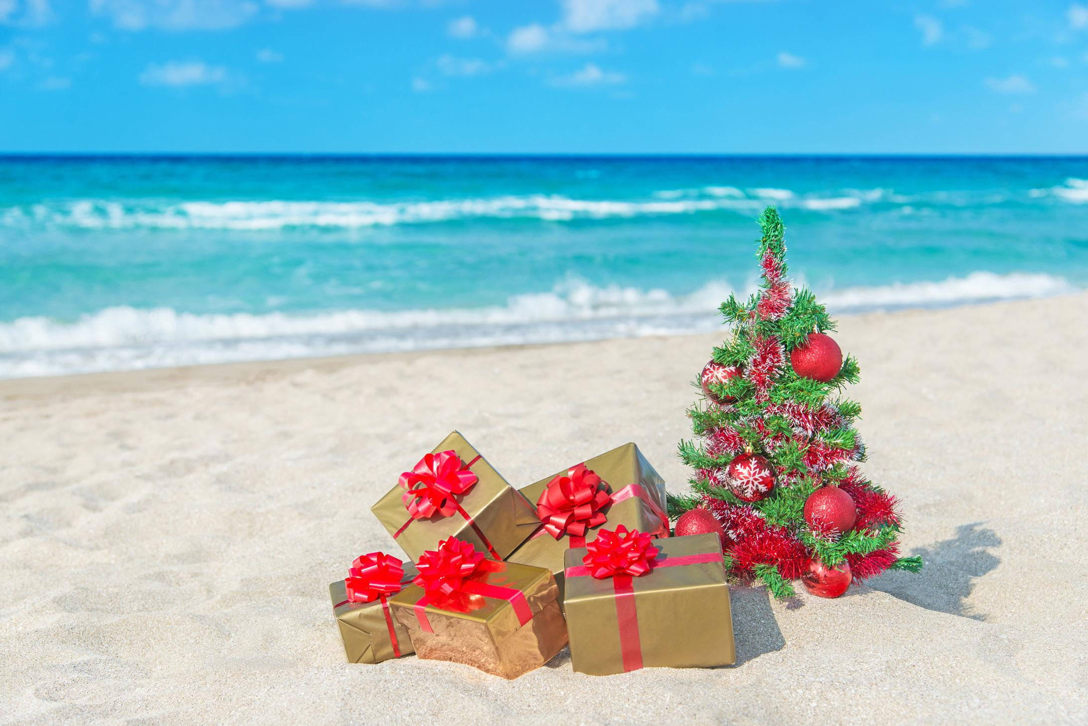 Australian Christmas, miniature Christmas tree, gold gift boxes, Full HD Desktop Wallpaper