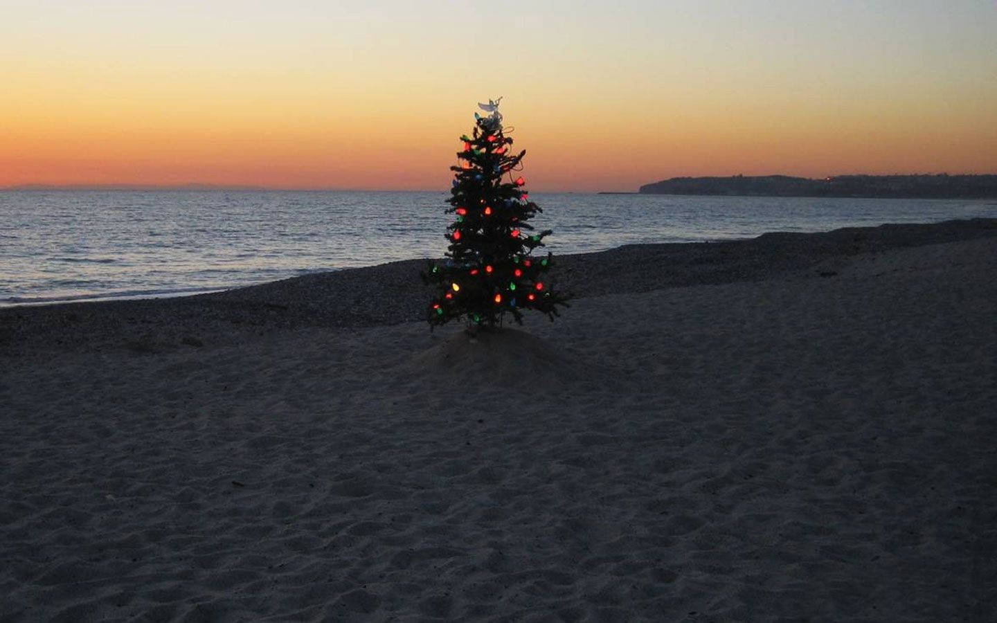 Australian Christmas, beach, sunset, HD Desktop Wallpaper