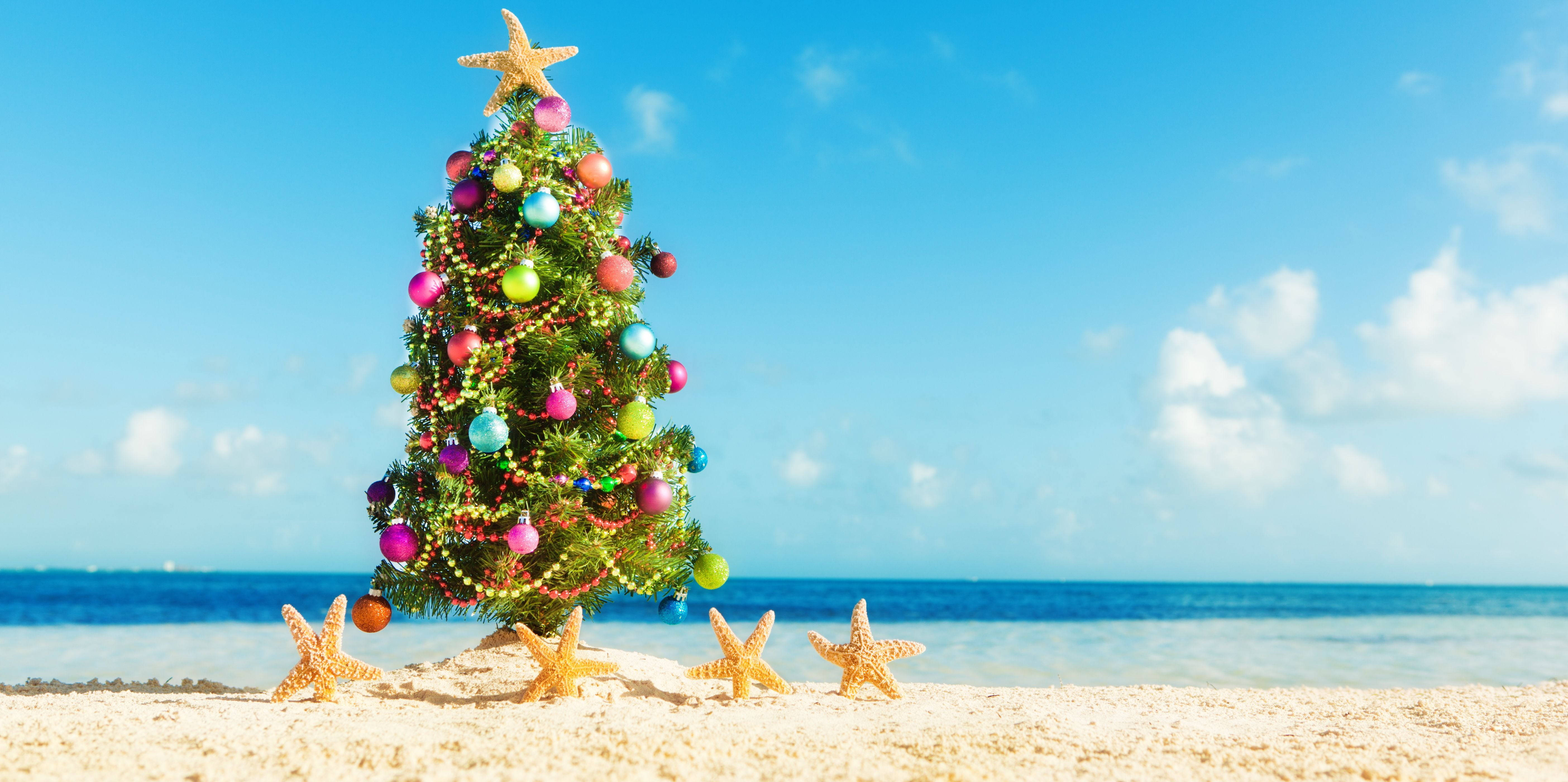 Australian Christmas, blue sky, sunny beach, 5K Desktop Wallpaper