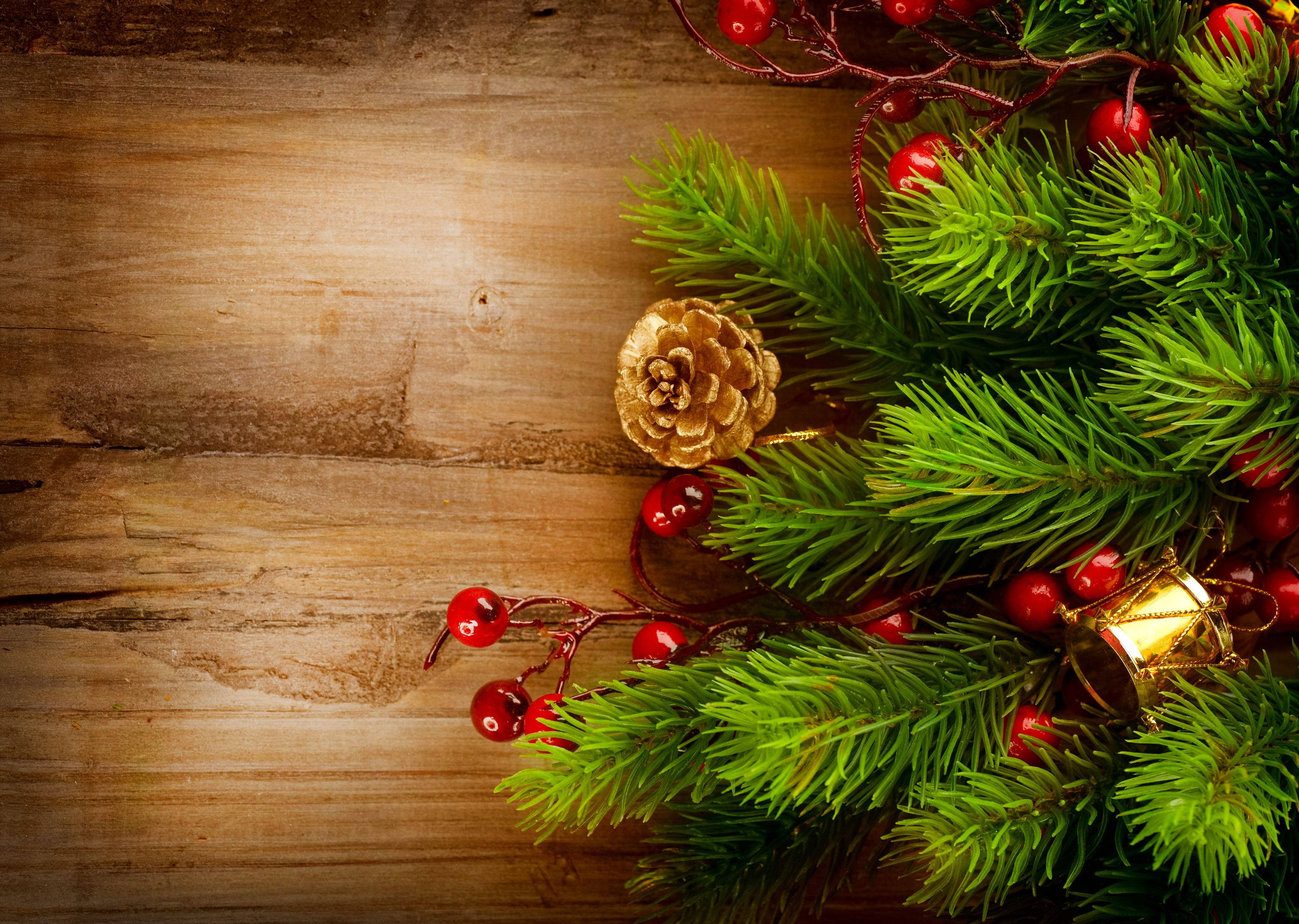 Australian Christmas, brown wood, vibrant green pine branches, 2K Desktop Wallpaper