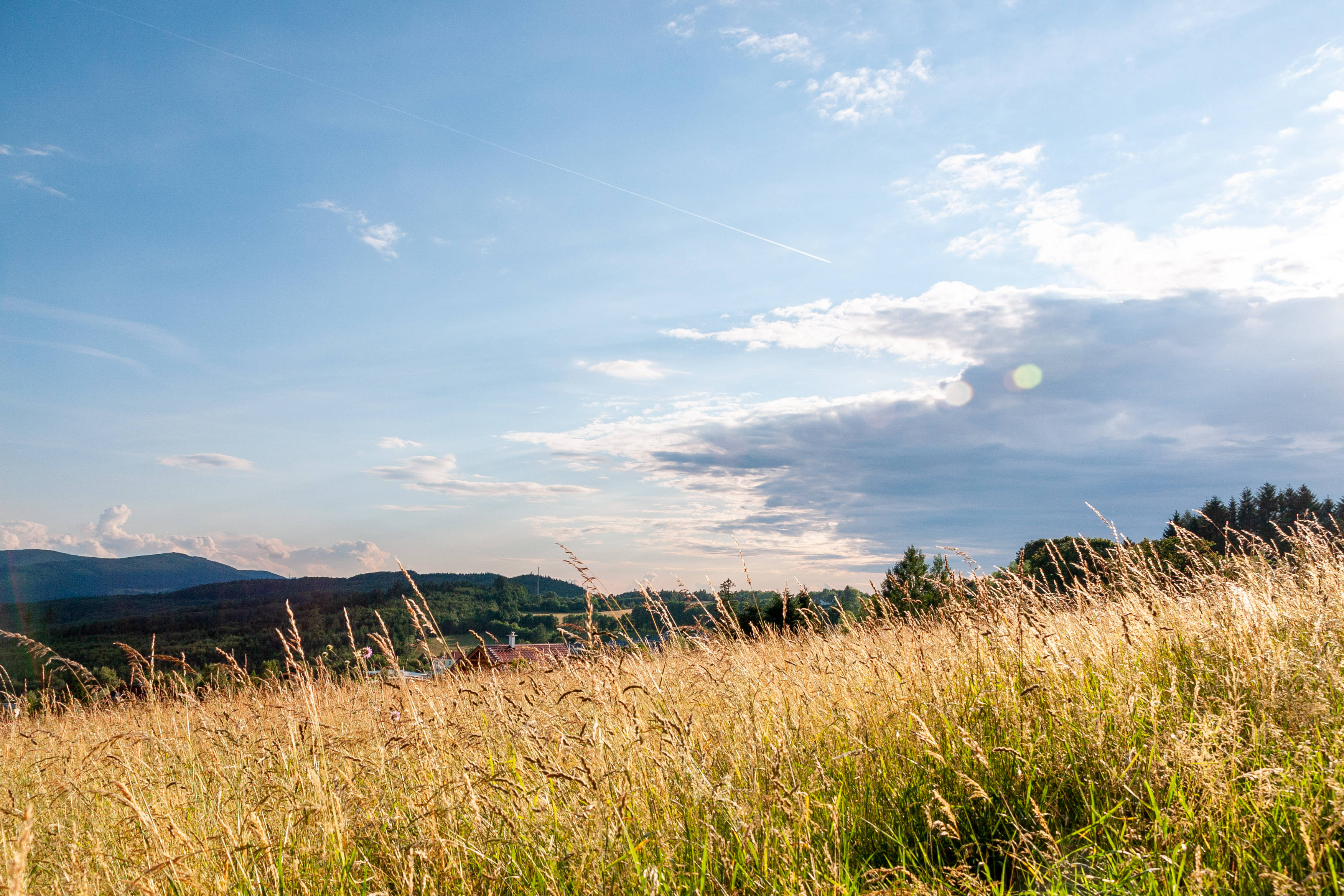Meadow Field, Austria, sunset, 2K Desktop Wallpaper