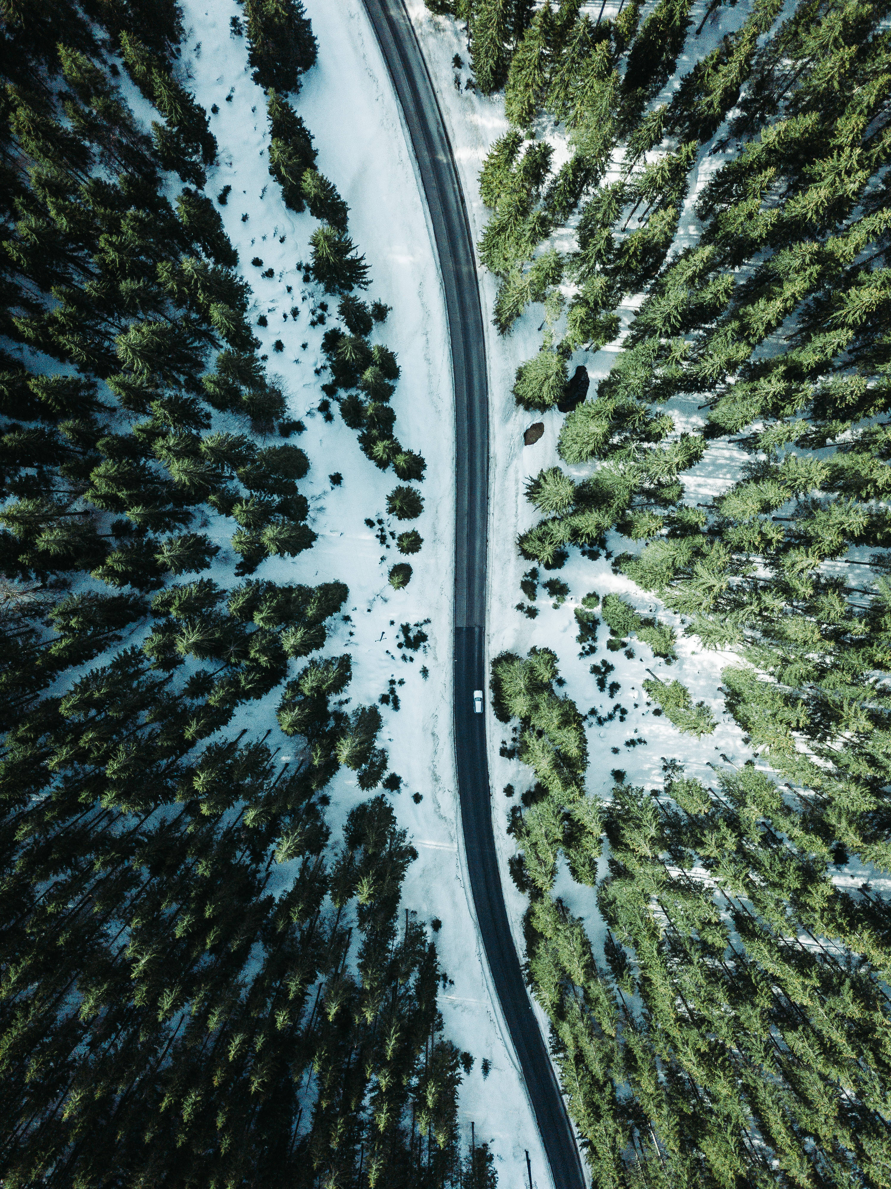 Austria, winding road, snowy pine forest, 4K Phone Wallpaper